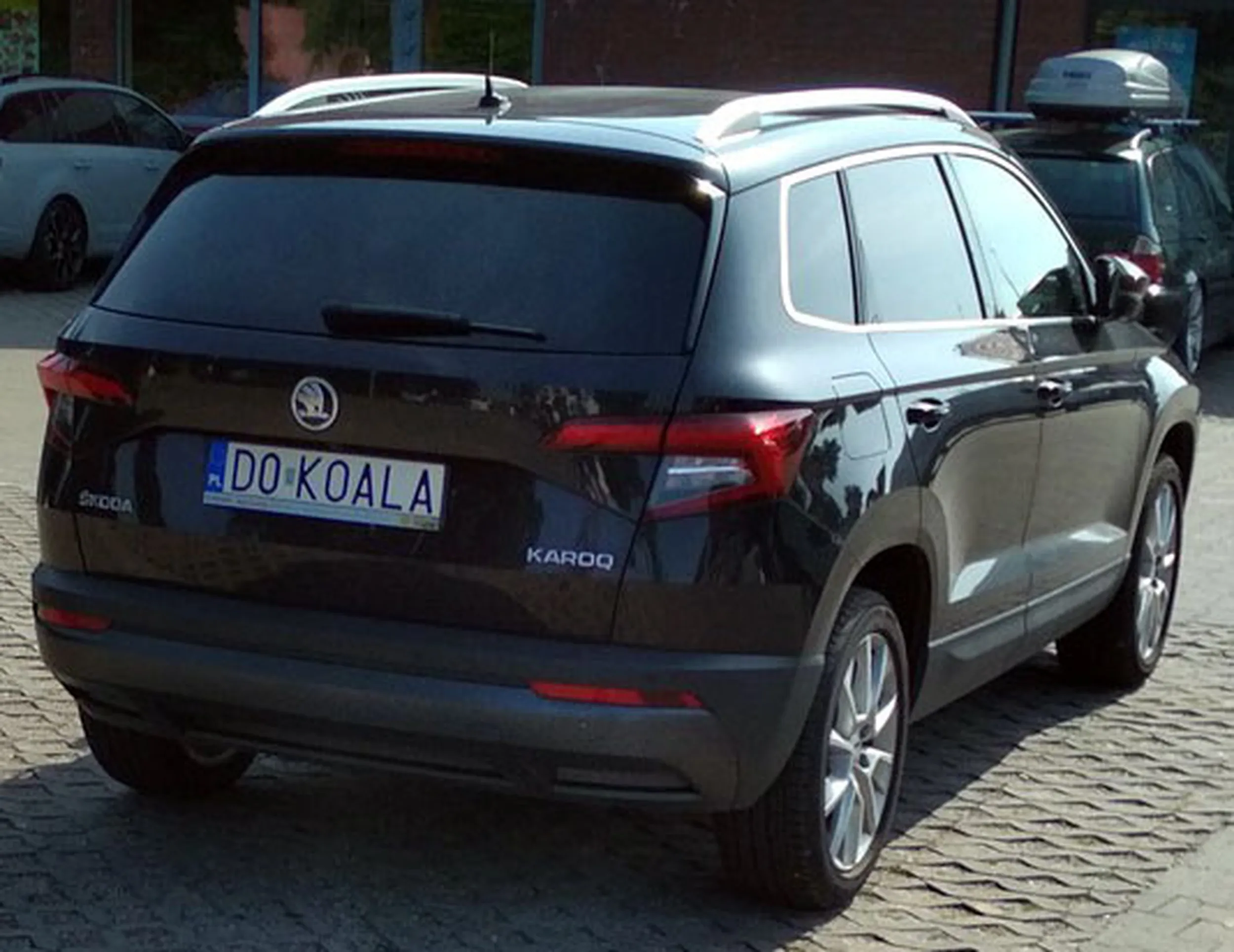 Fajny numer, blacha D0 KOALA