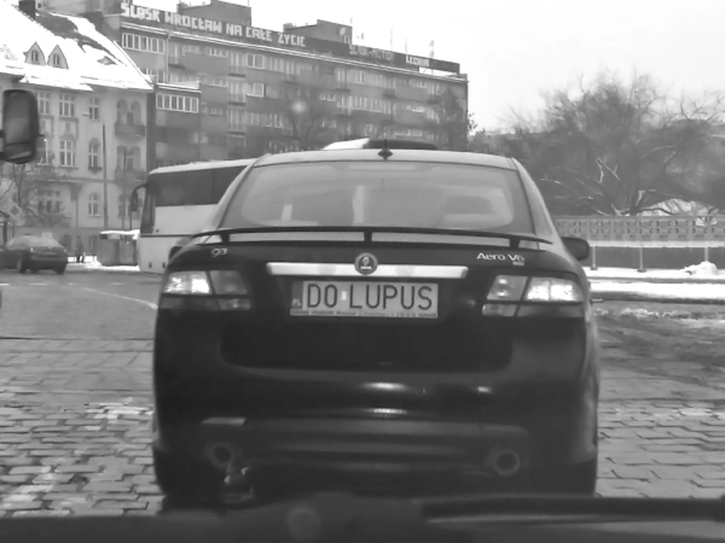 Fajny numer, blacha D0 LUPUS