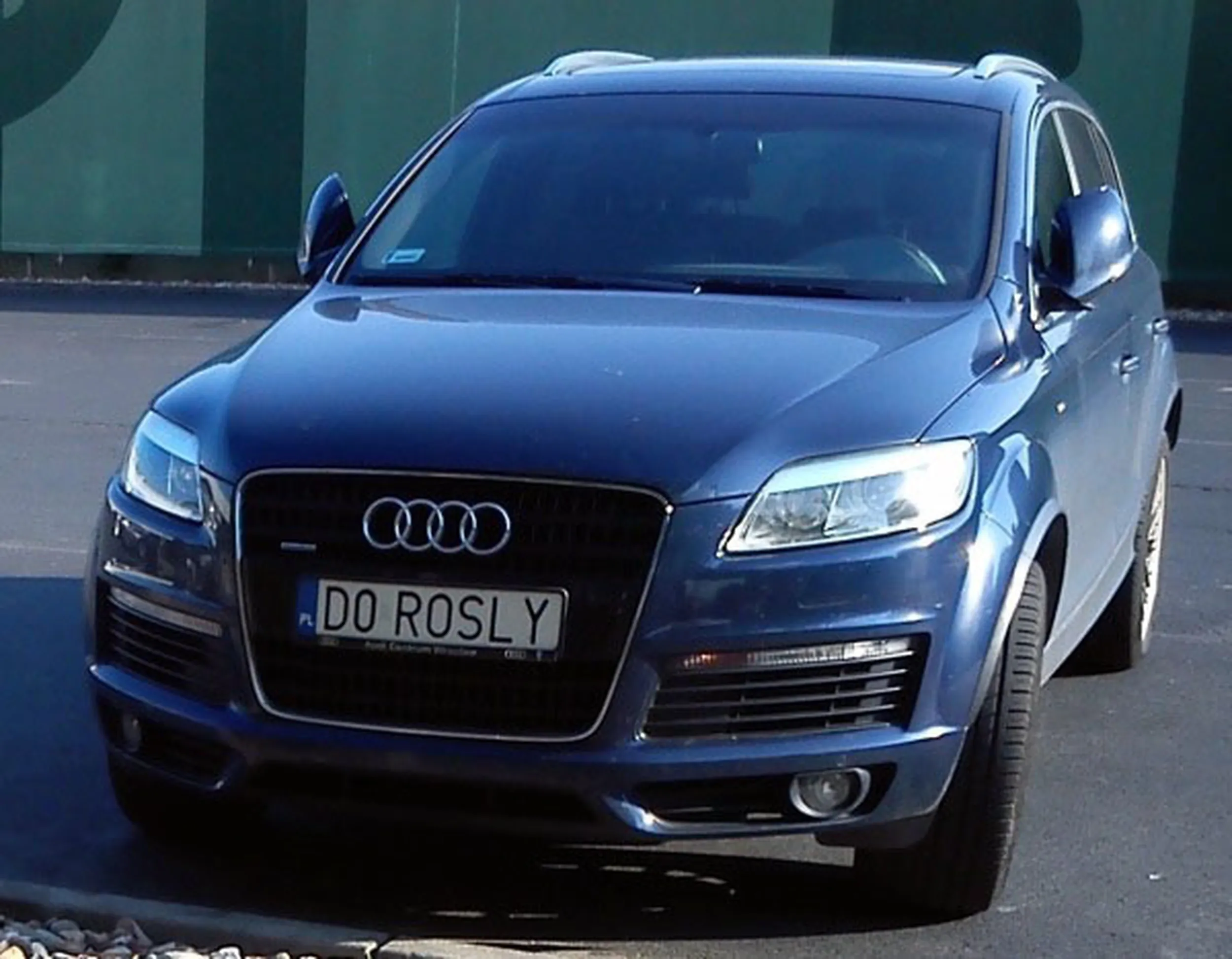 Fajny numer, blacha D0 ROSLY