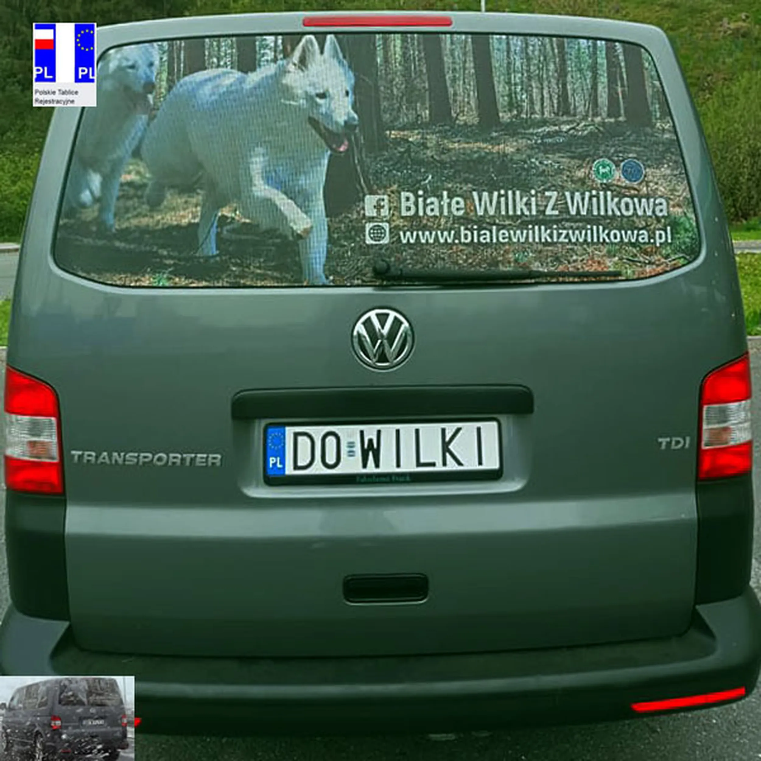 Fajny numer, blacha D0 WILKI