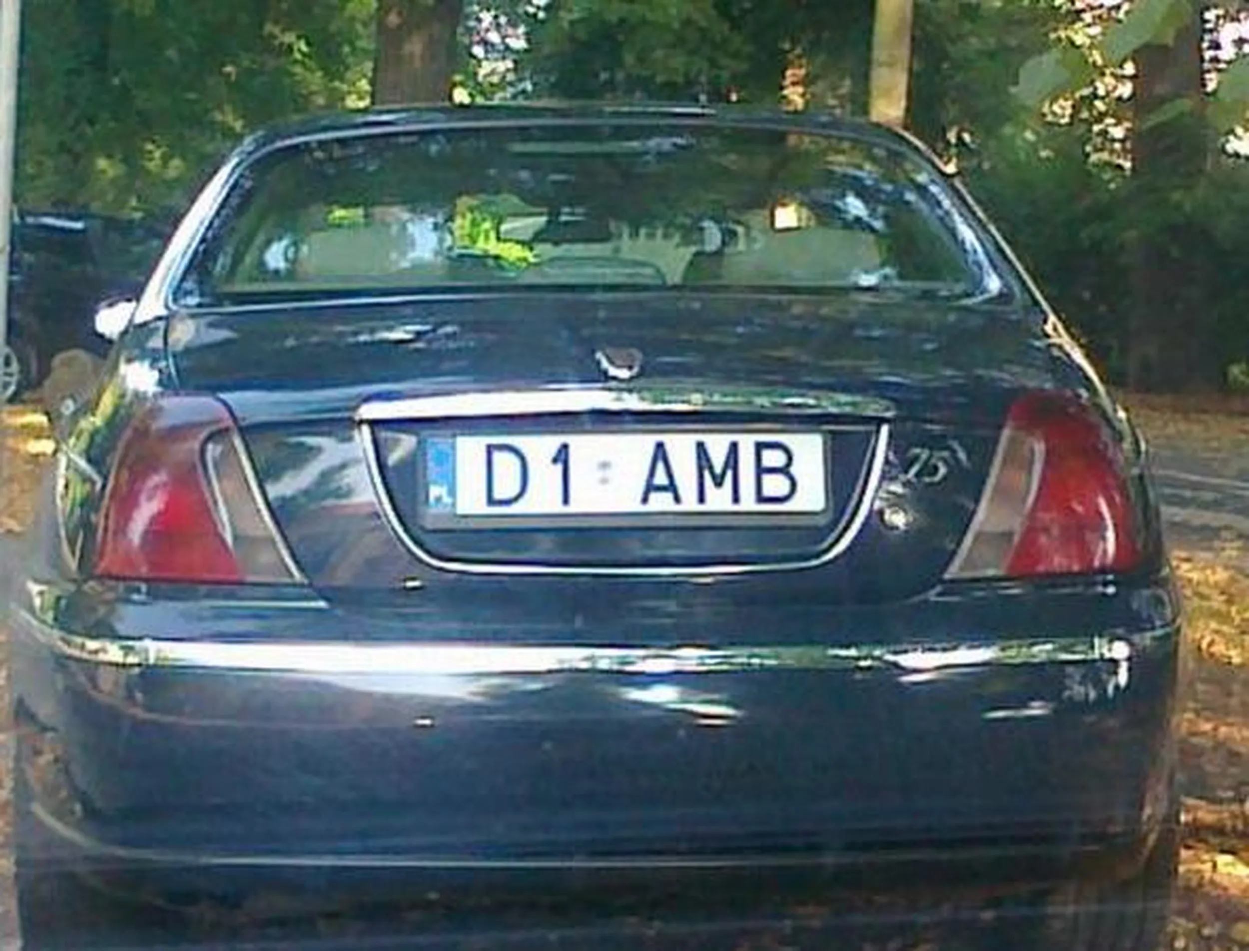 Fajny numer, blacha D1 AMB