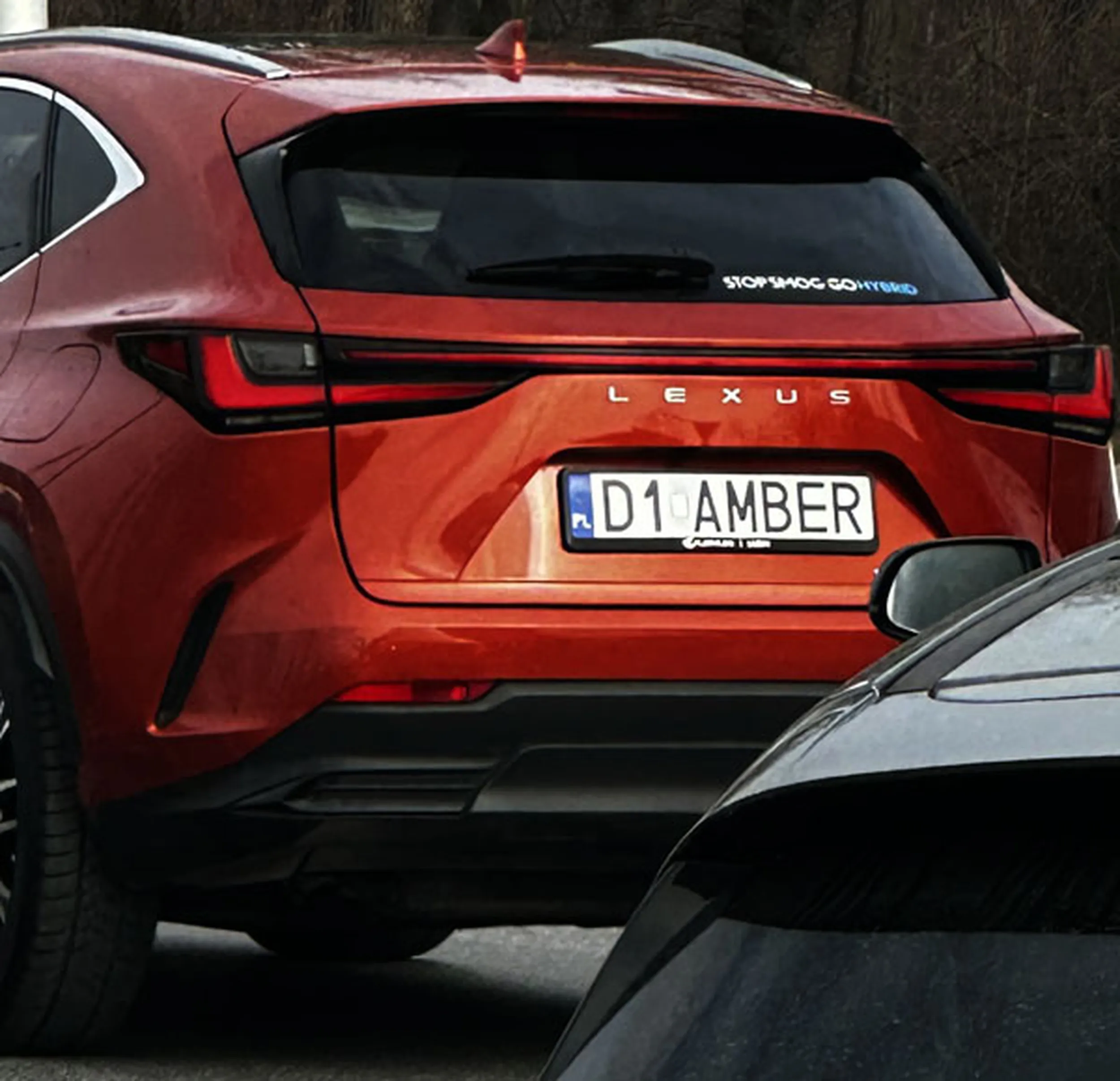 Fajny numer, blacha D1 AMBER