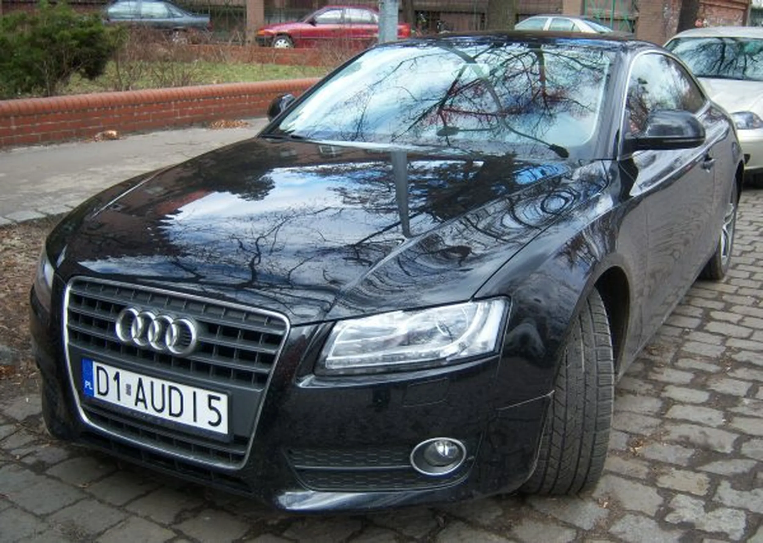 Fajny numer, blacha D1 AUDI5