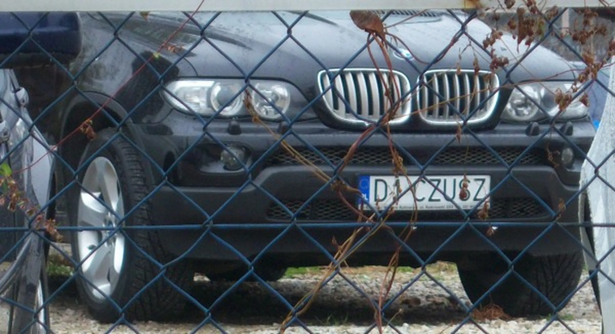 Fajny numer, blacha D1 CZUSZ