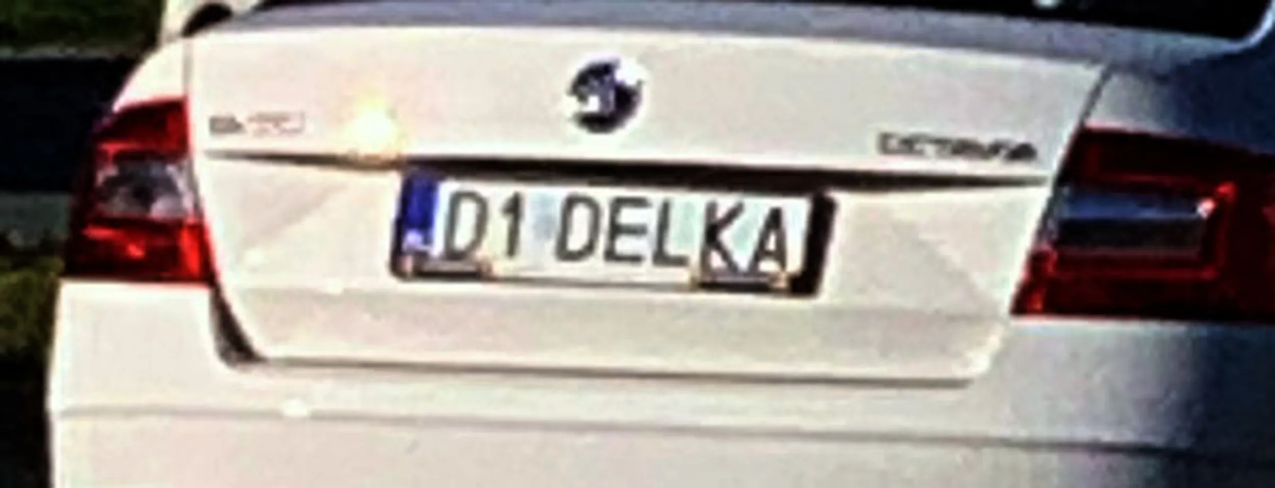 Fajny numer, blacha D1 DELKA