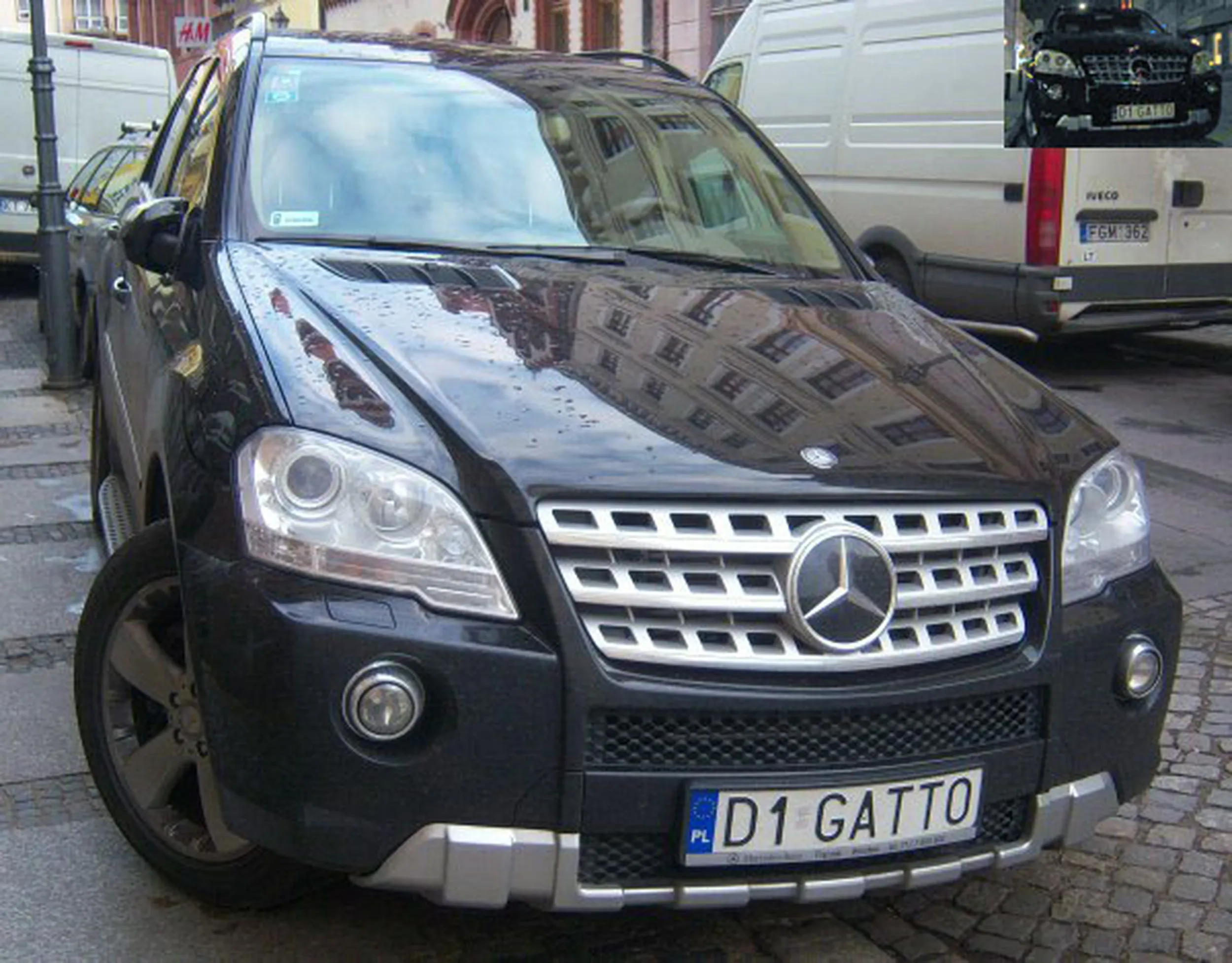 Fajny numer, blacha D1 GATTO