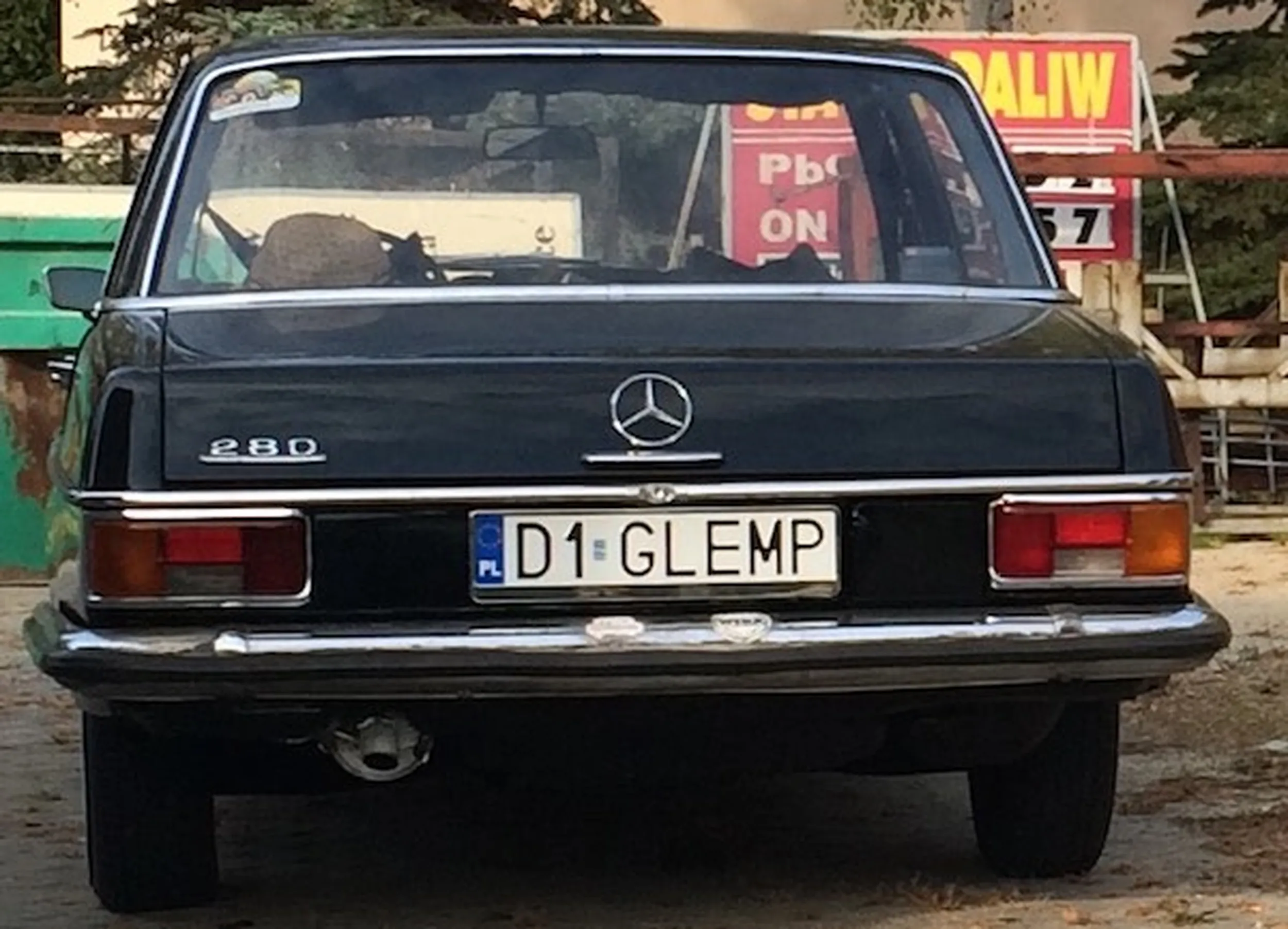 Fajny numer, blacha D1 GLEMP