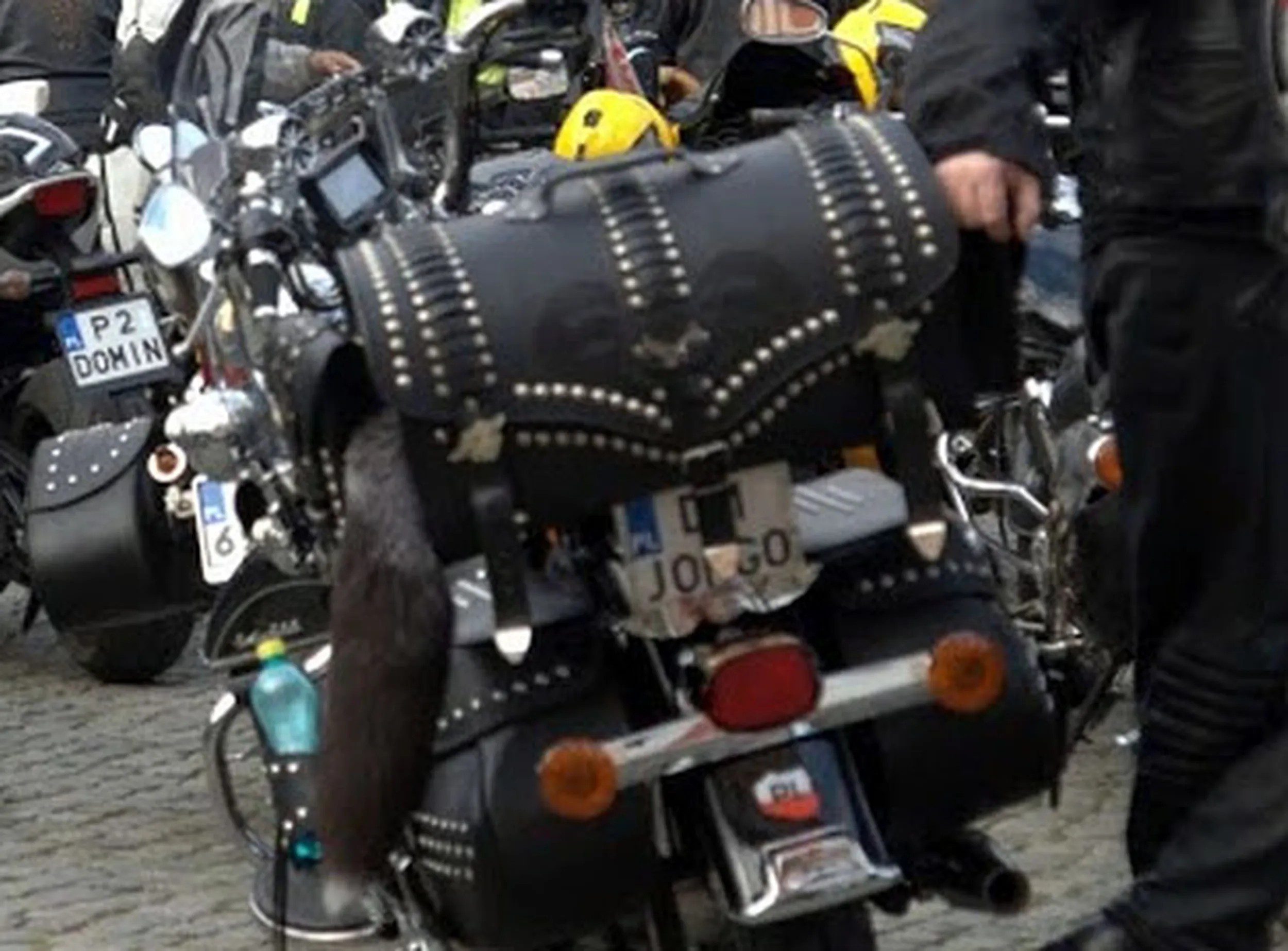 Fajny numer, blacha D1 JORGO