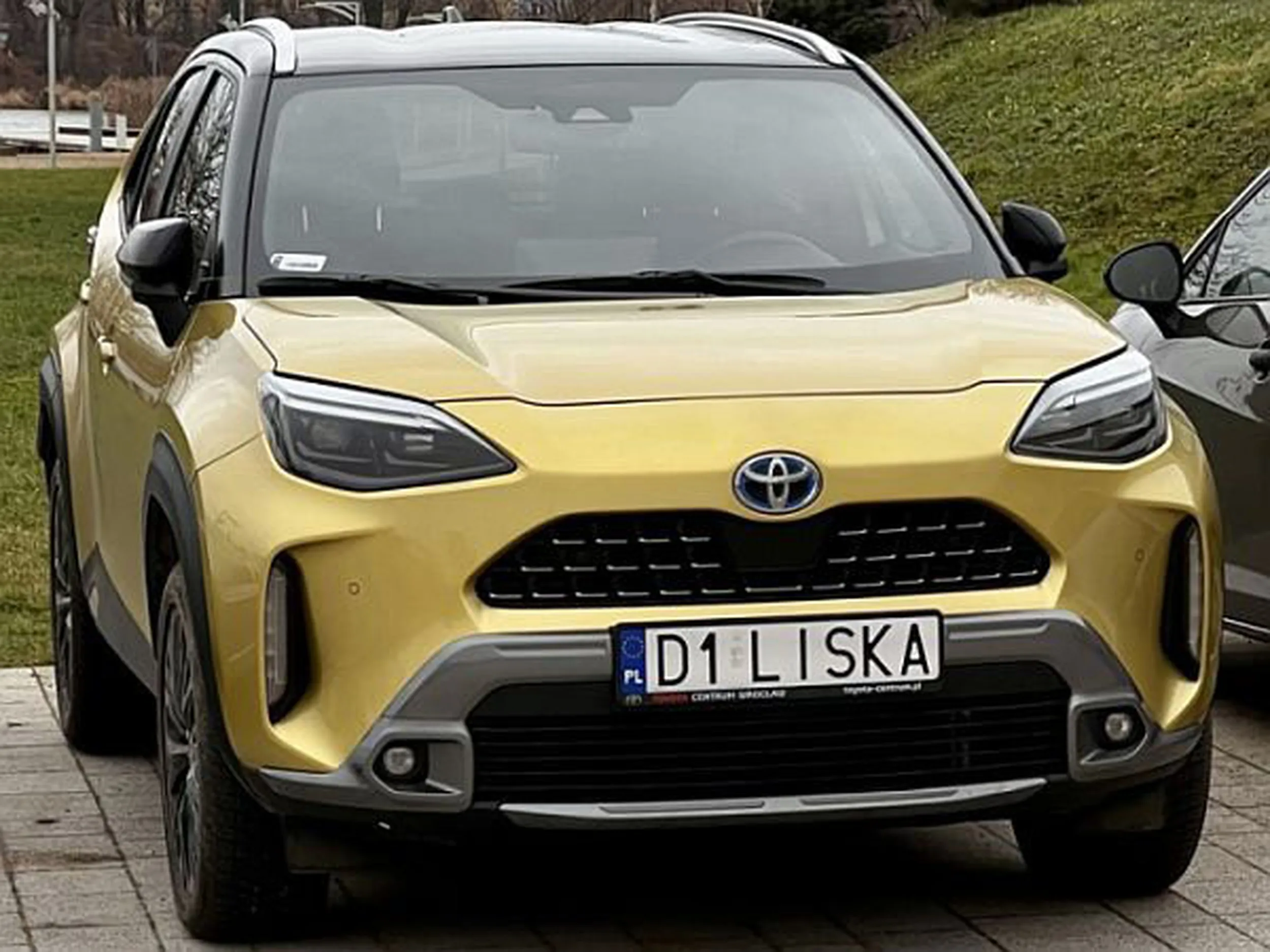 Fajny numer, blacha D1 LISKA