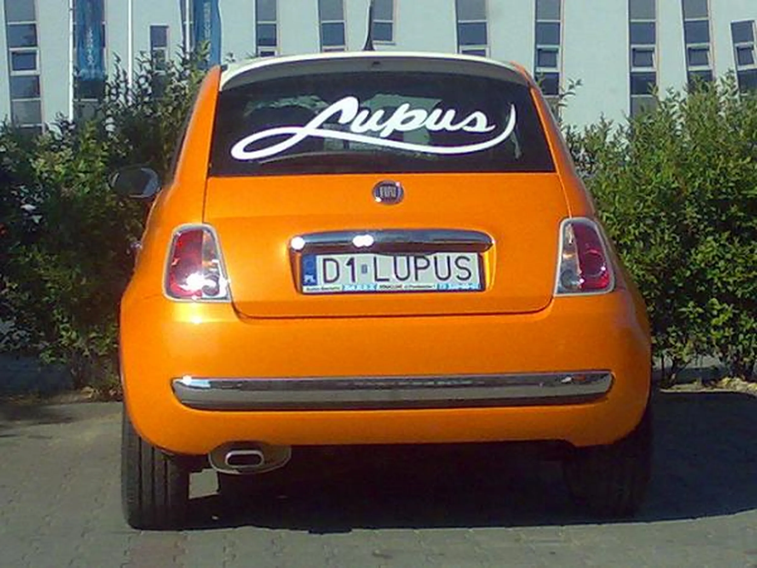 Fajny numer, blacha D1 LUPUS