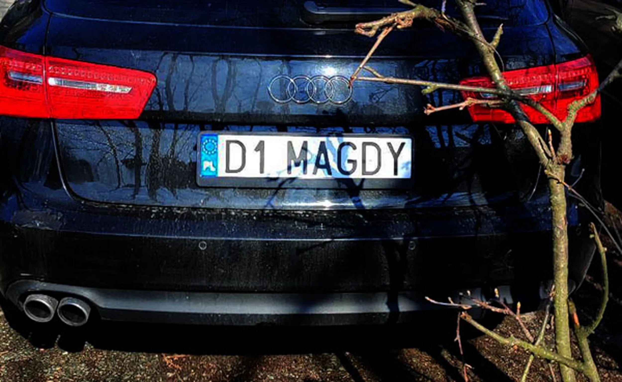 Fajny numer, blacha D1 MAGDY