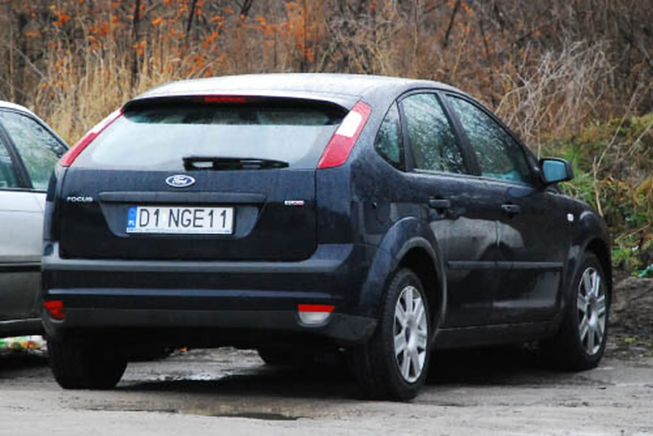 Fajny numer, blacha D1 NGE11