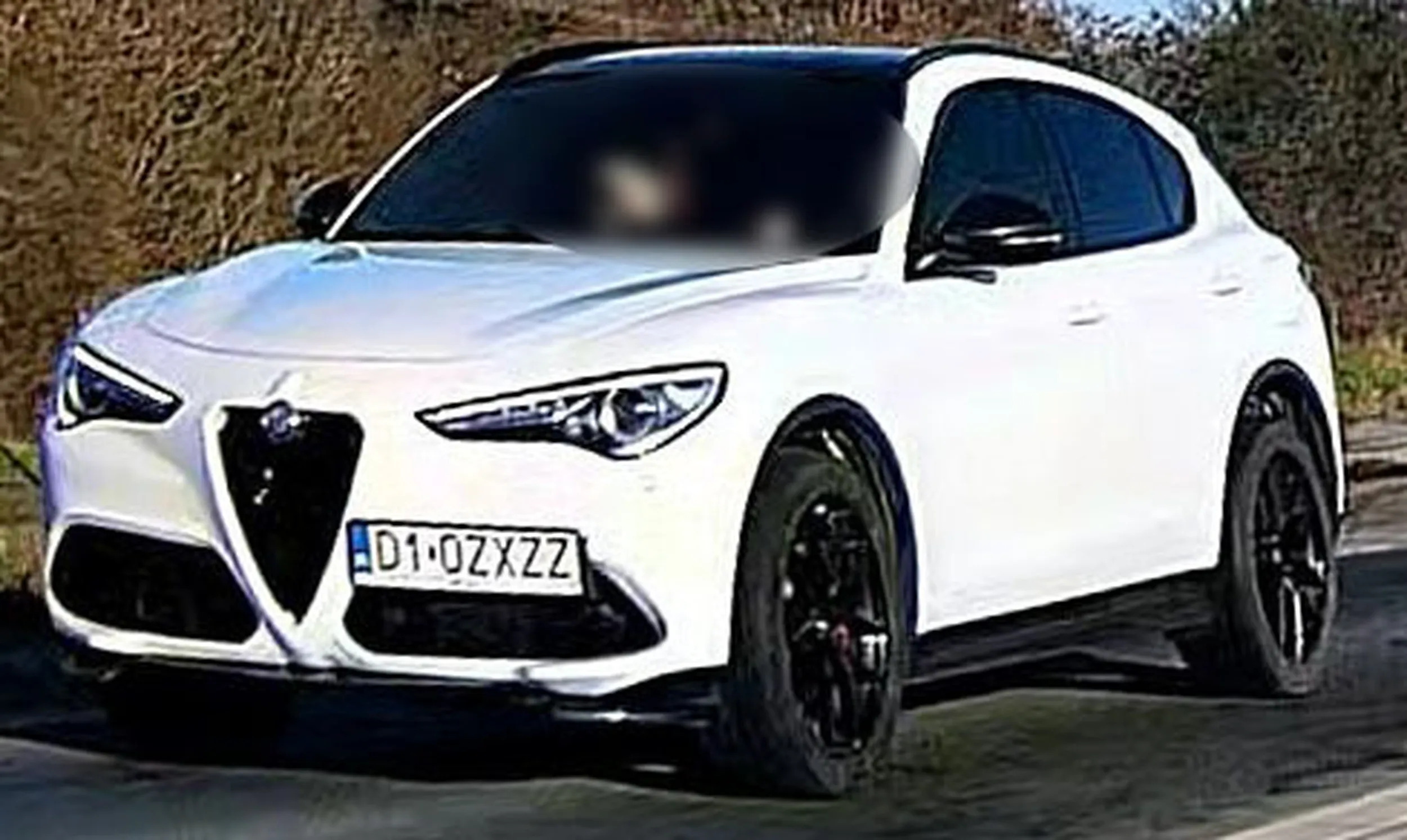 Fajny numer, blacha D1 OZXZZ