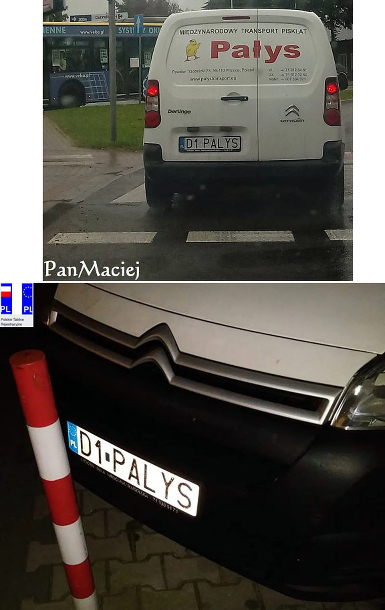 Fajny numer, blacha D1 PALYS