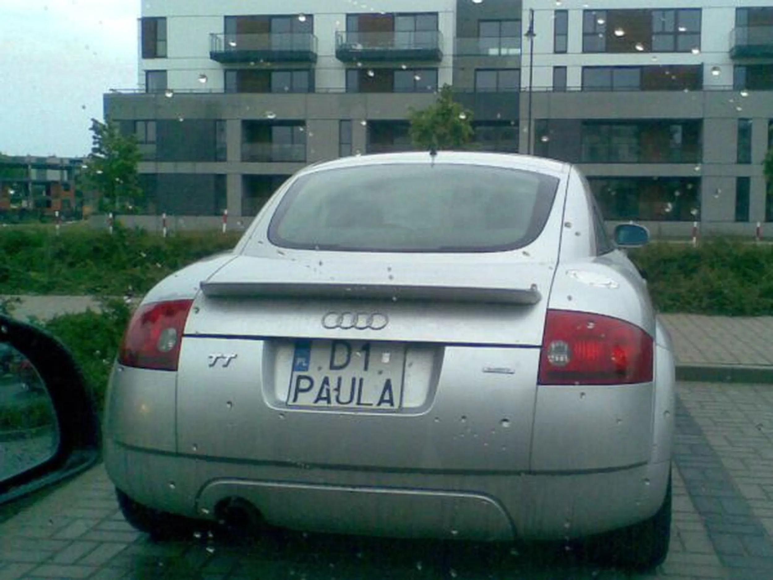 Fajny numer, blacha D1 PAULA