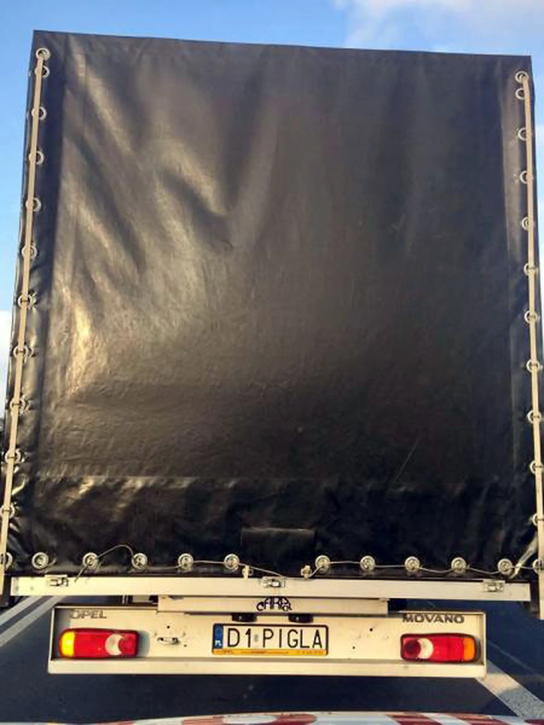 Fajny numer, blacha D1 PIGLA