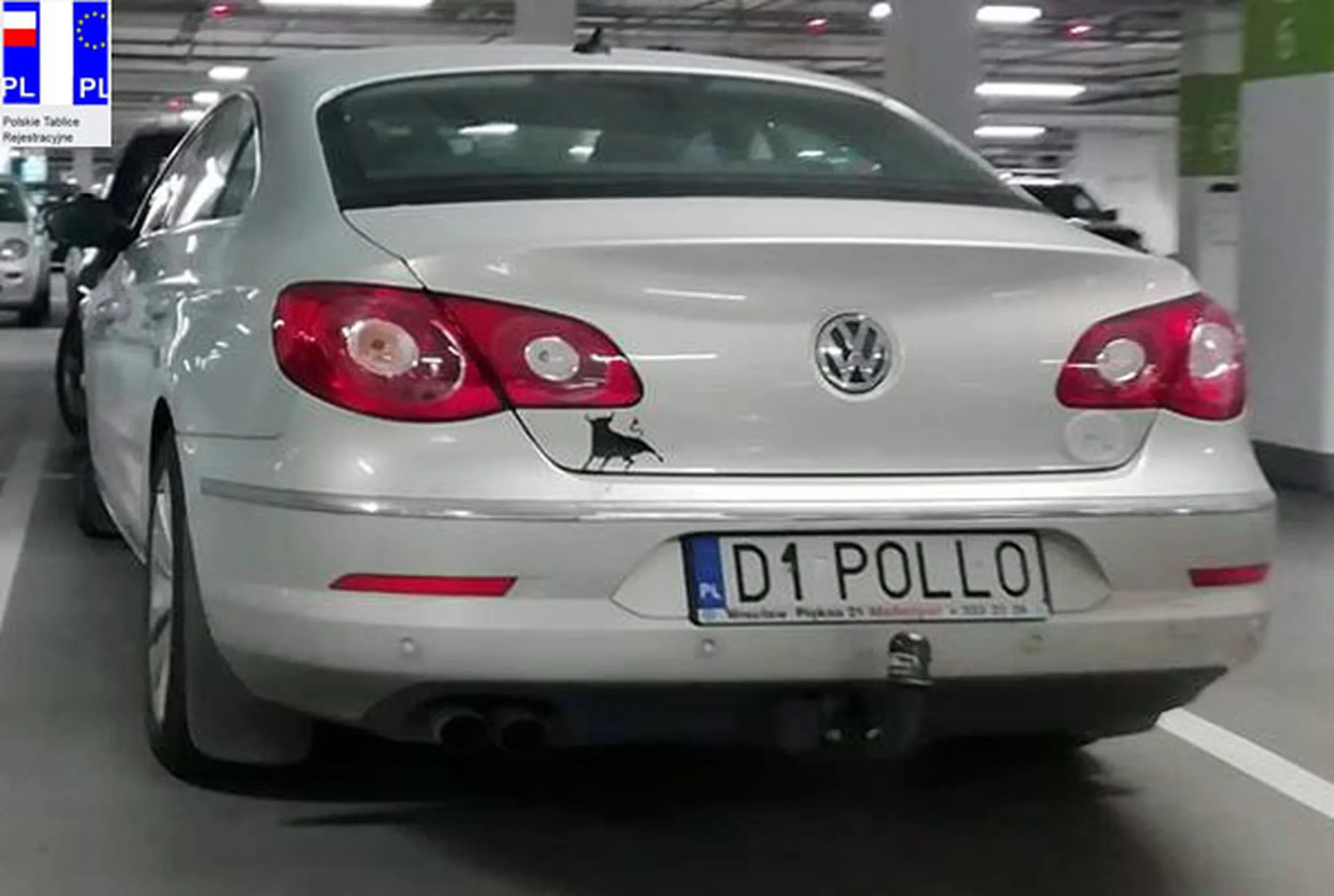 Fajny numer, blacha D1 POLLO