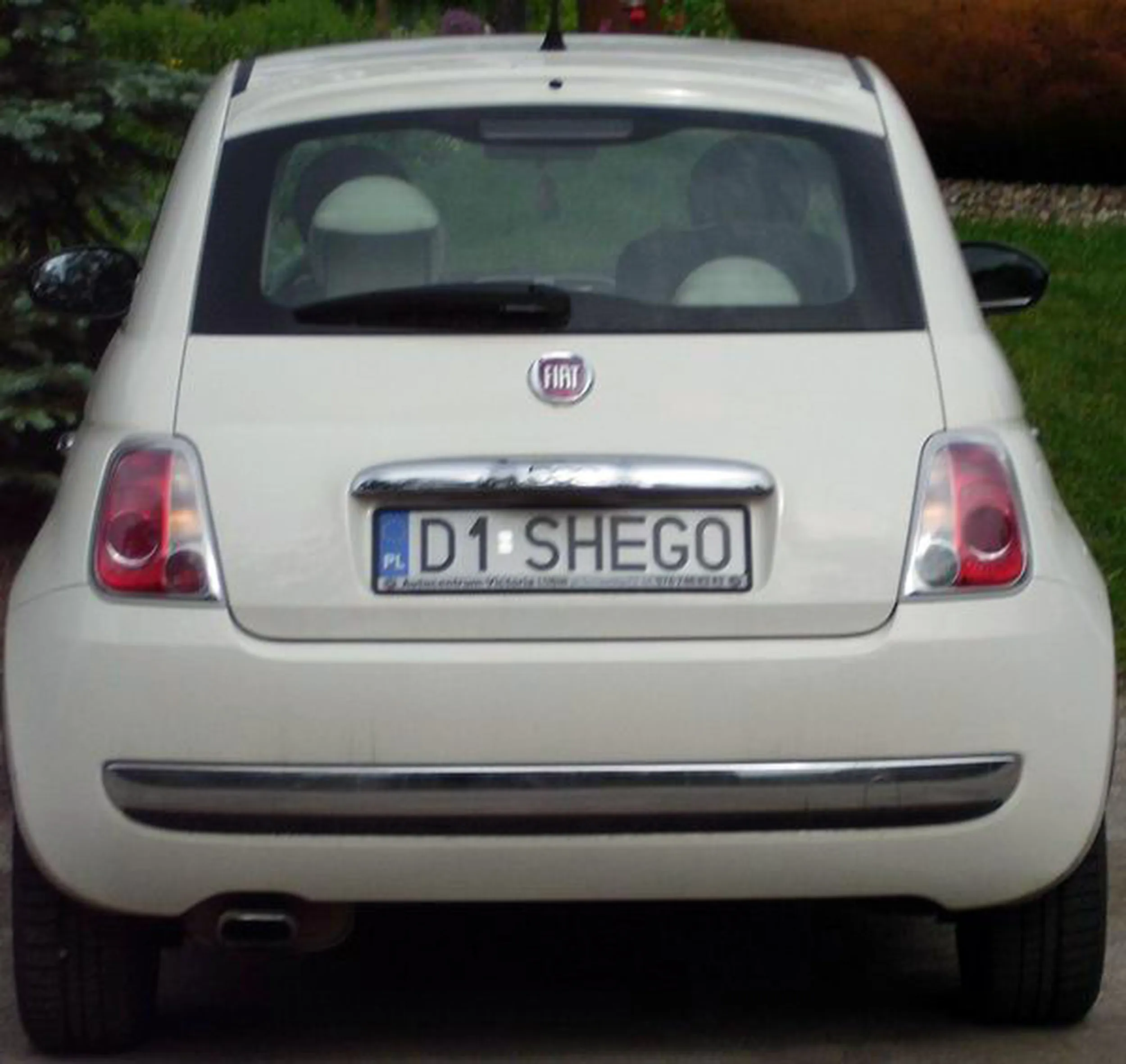 Fajny numer, blacha D1 SHEGO