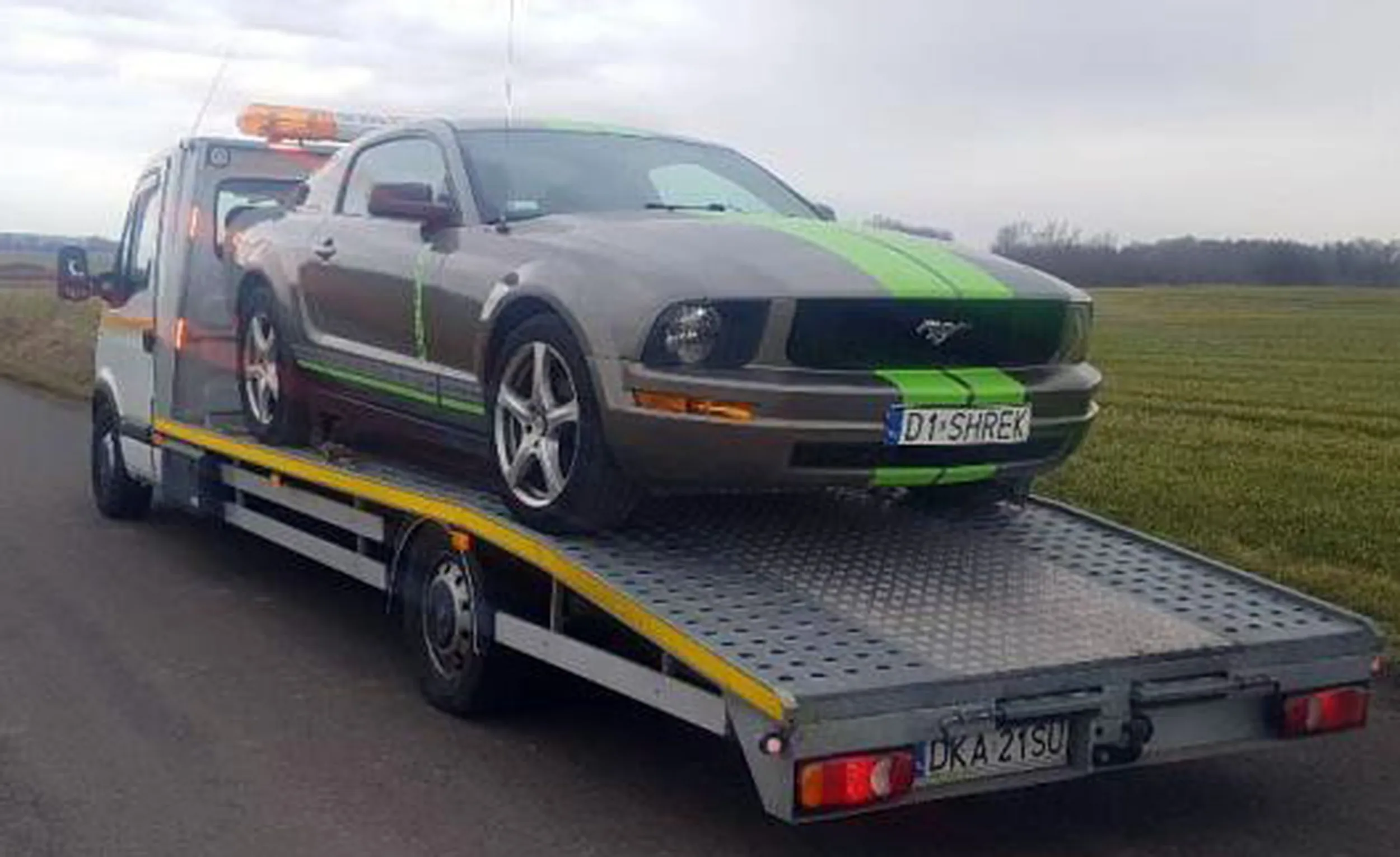 Fajny numer, blacha D1 SHREK