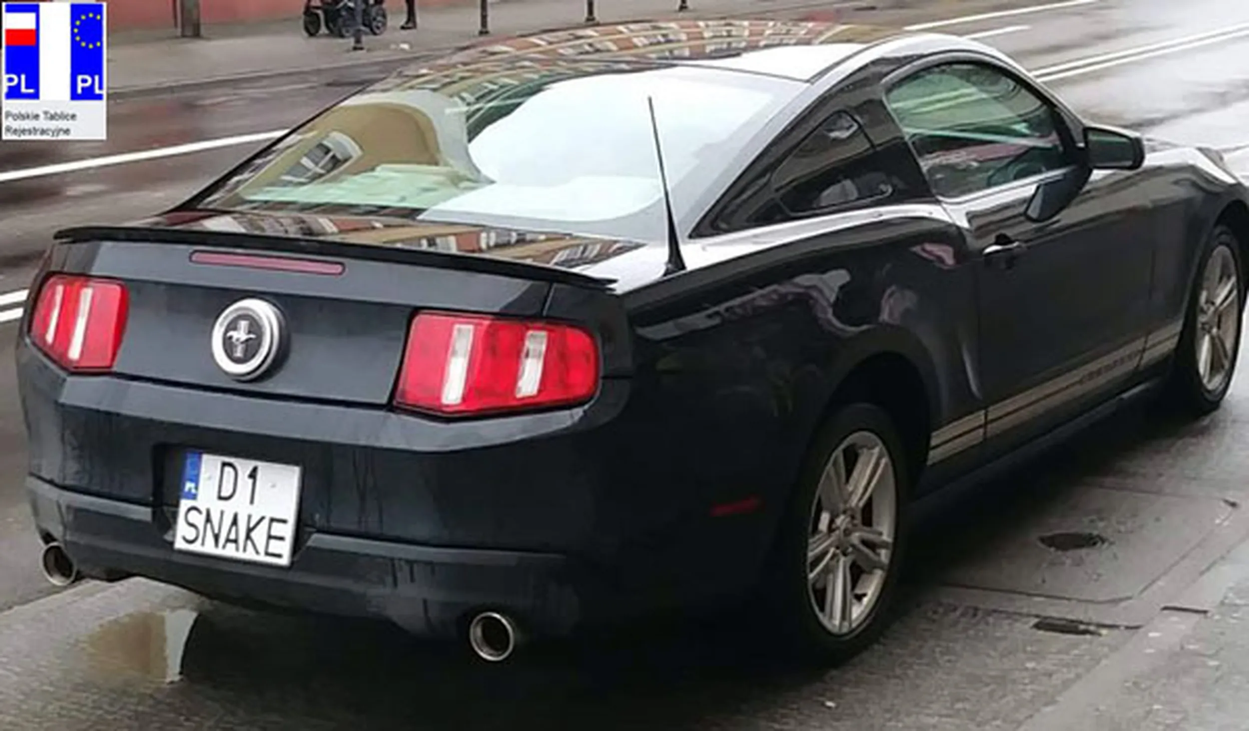 Fajny numer, blacha D1 SNAKE