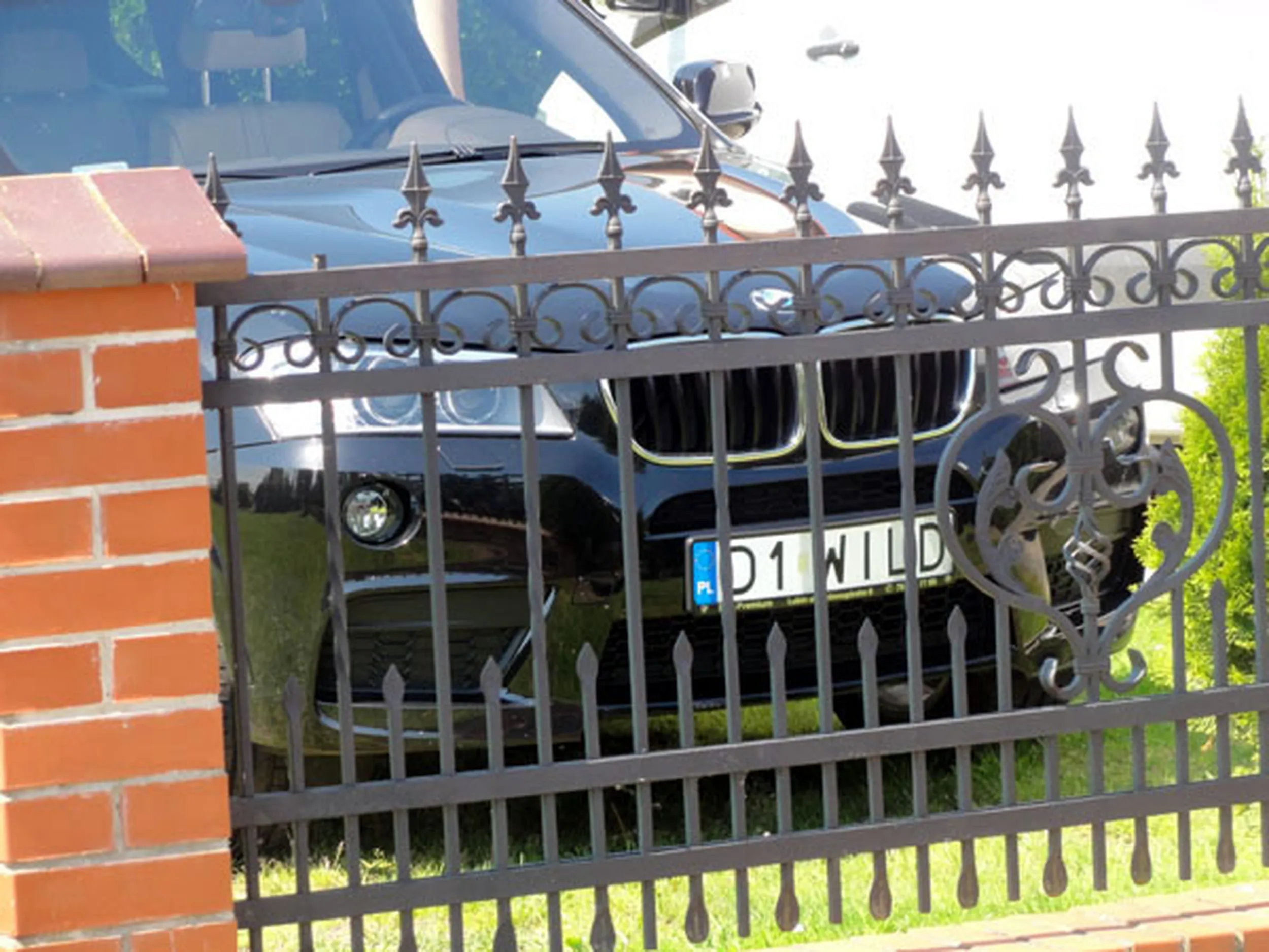 Fajny numer, blacha D1 WILD