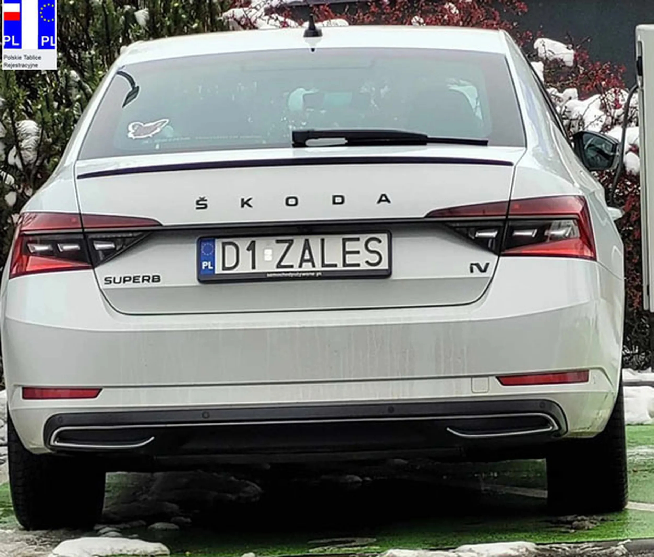 Fajny numer, blacha D1 ZALES