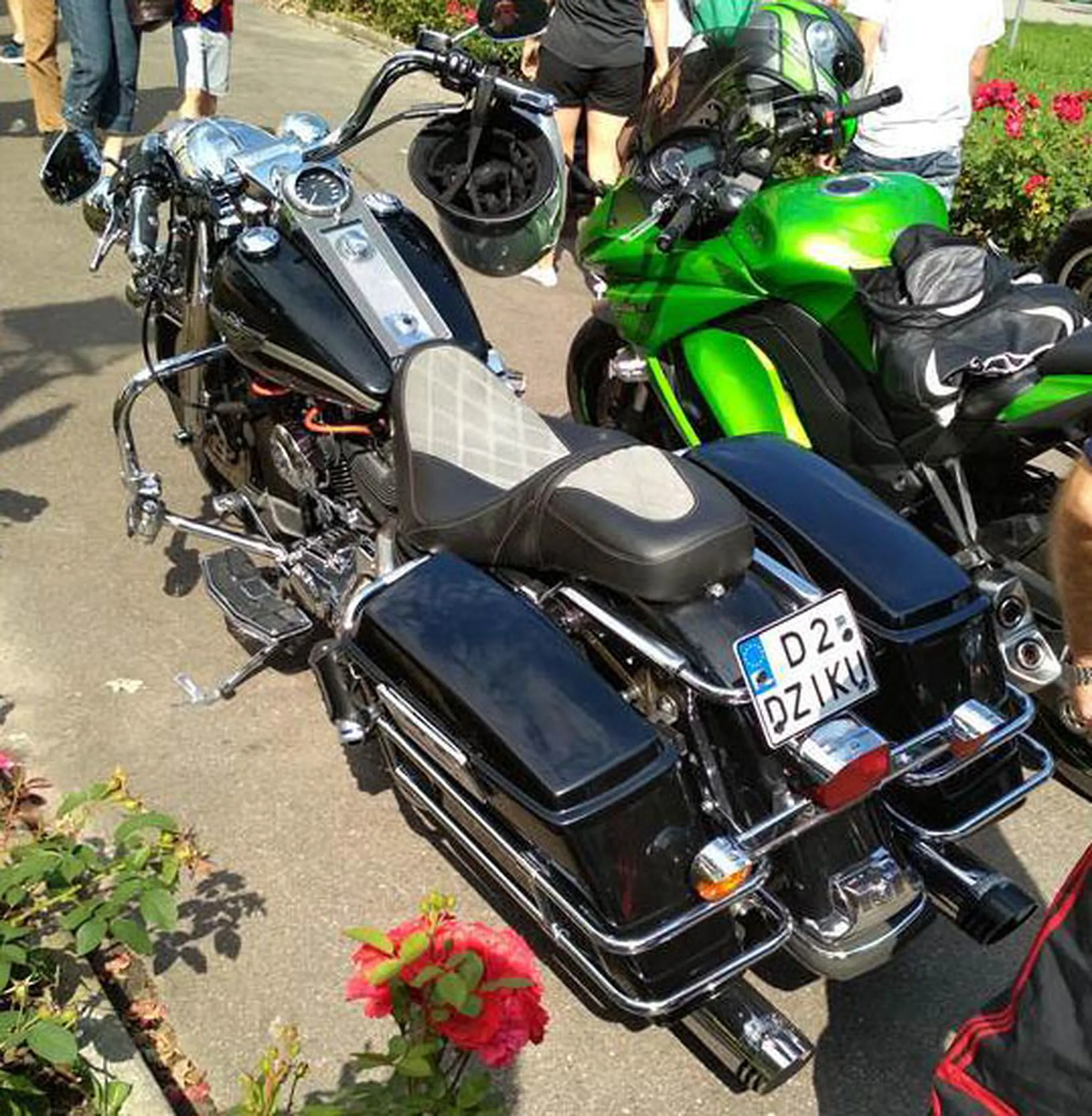 Fajny numer, blacha D2 DZIKU