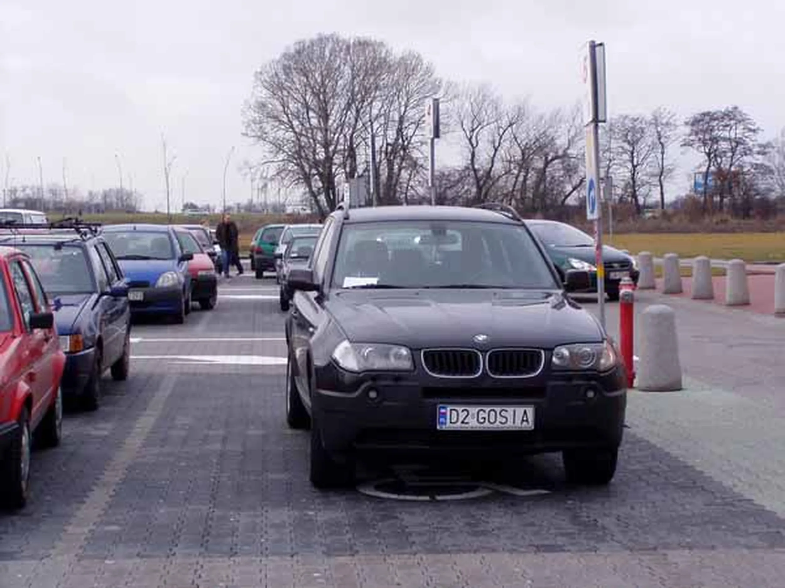 Fajny numer, blacha D2 GOSIA