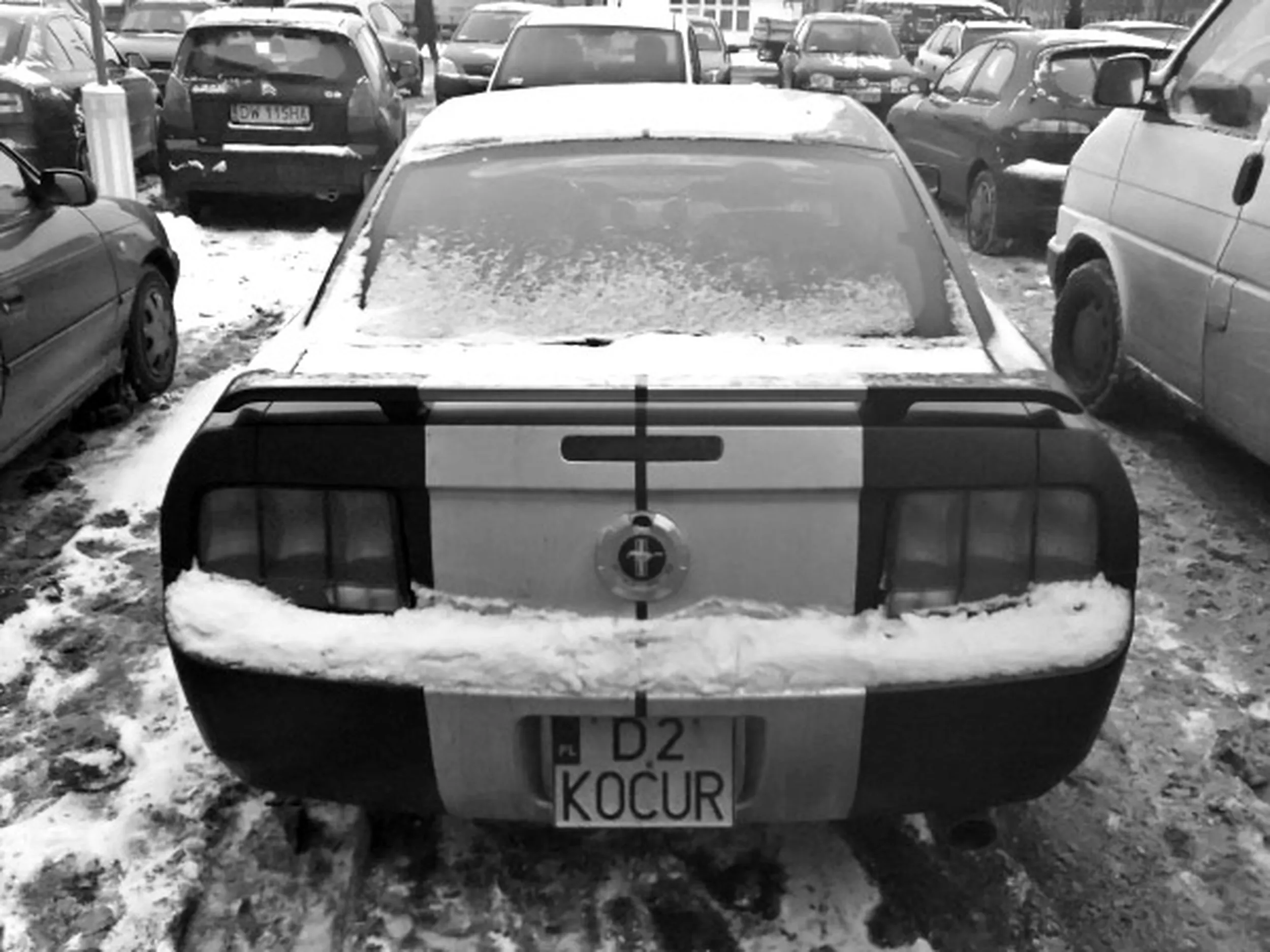 Fajny numer, blacha D2 KOCUR