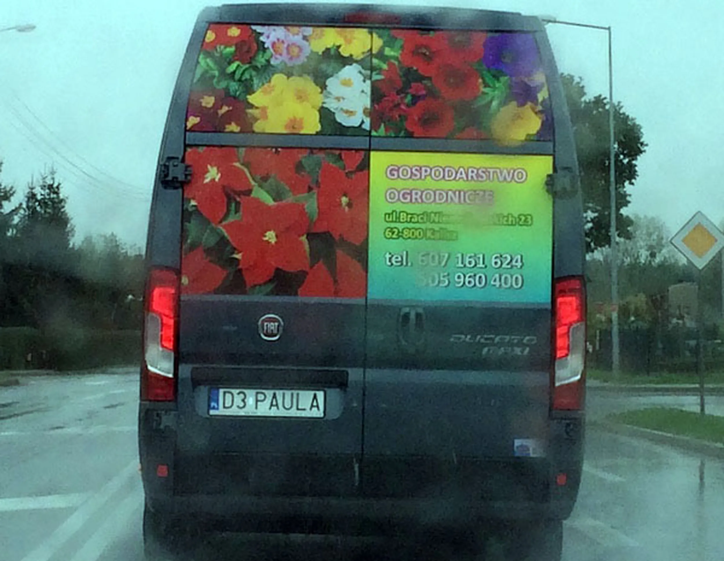 Fajny numer, blacha D3 PAULA