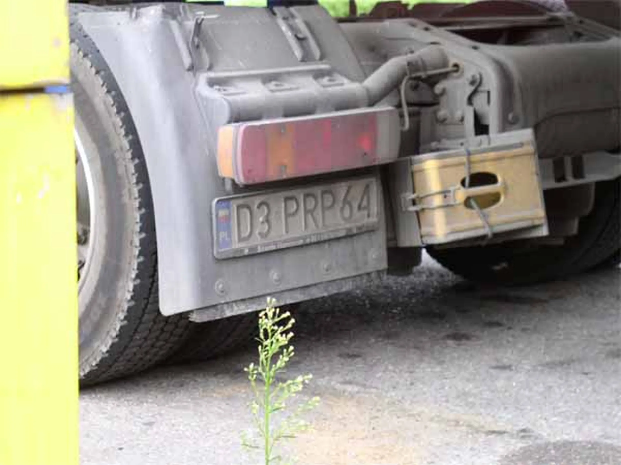 Fajny numer, blacha D3 PRP64