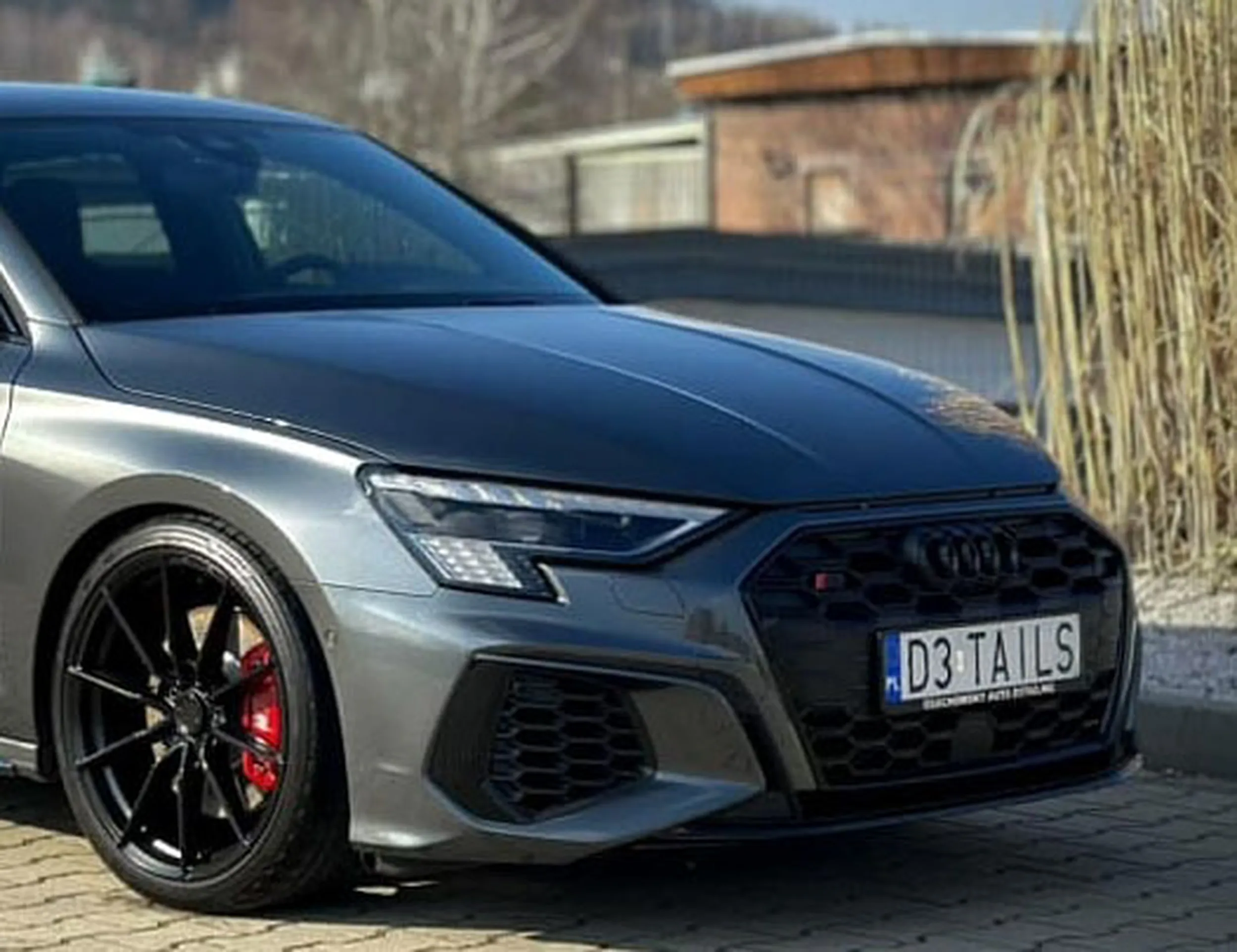 Fajny numer, blacha D3 TAILS