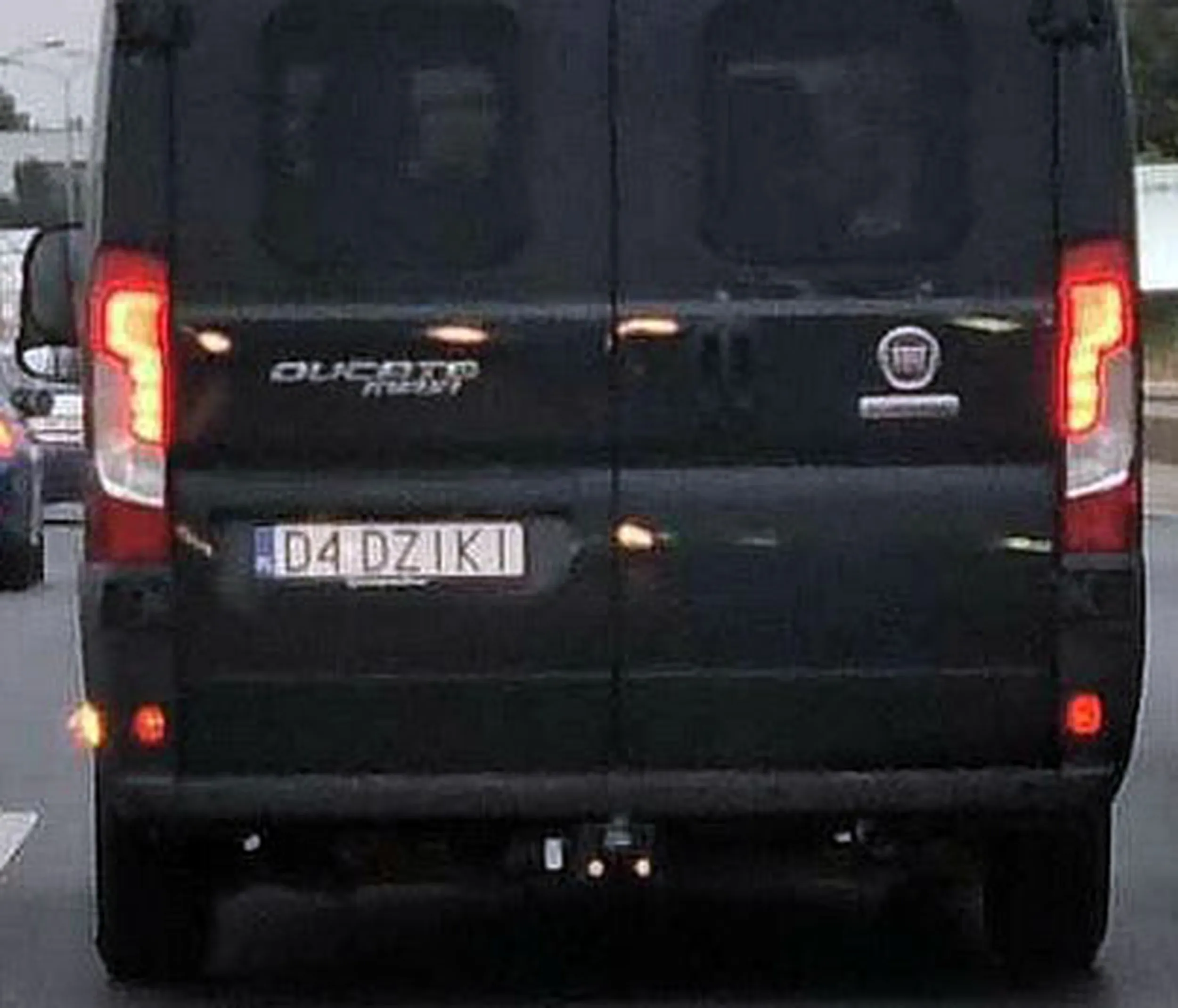 Fajny numer, blacha D4 DZIKI