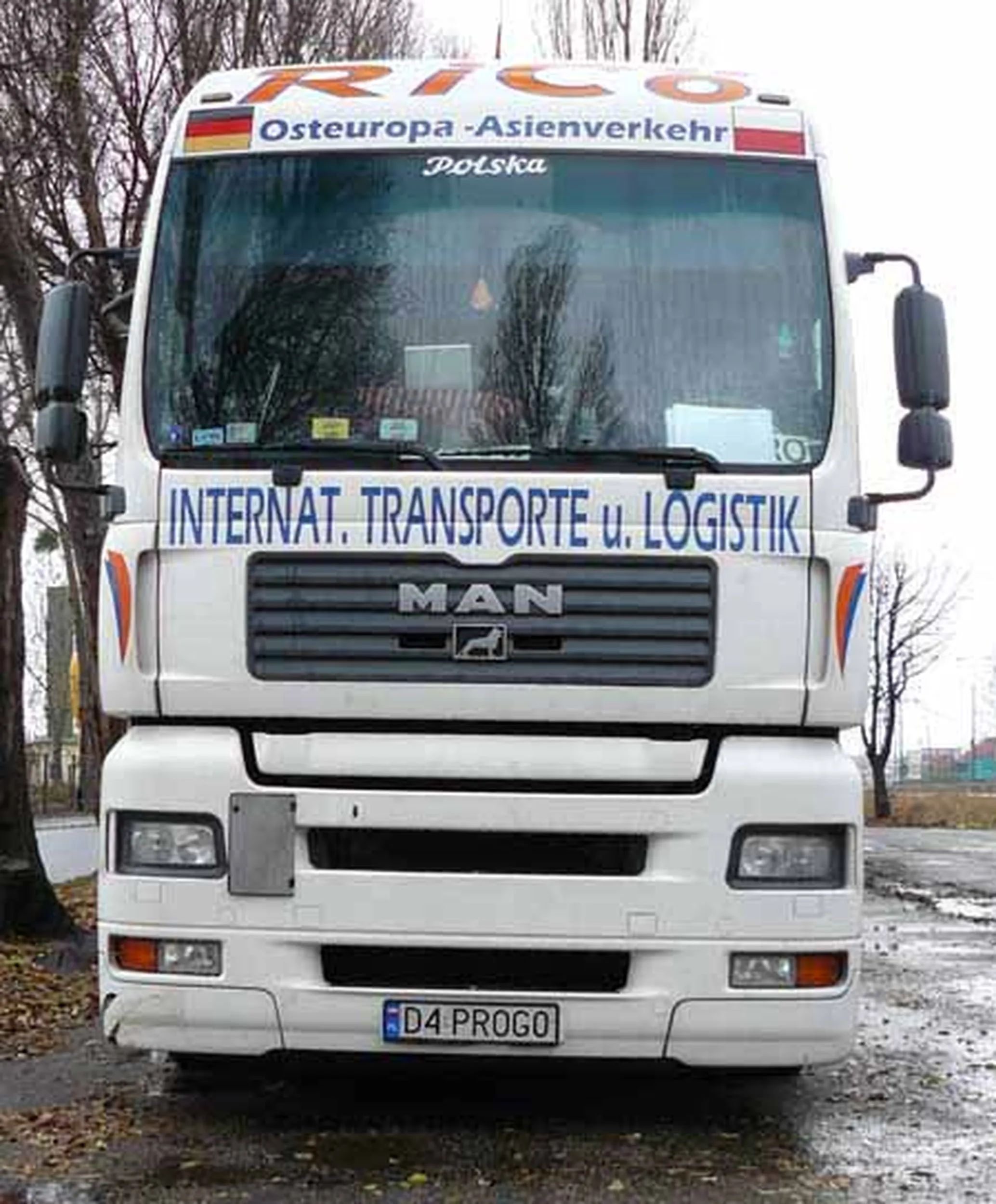 Fajny numer, blacha D4 PROG0