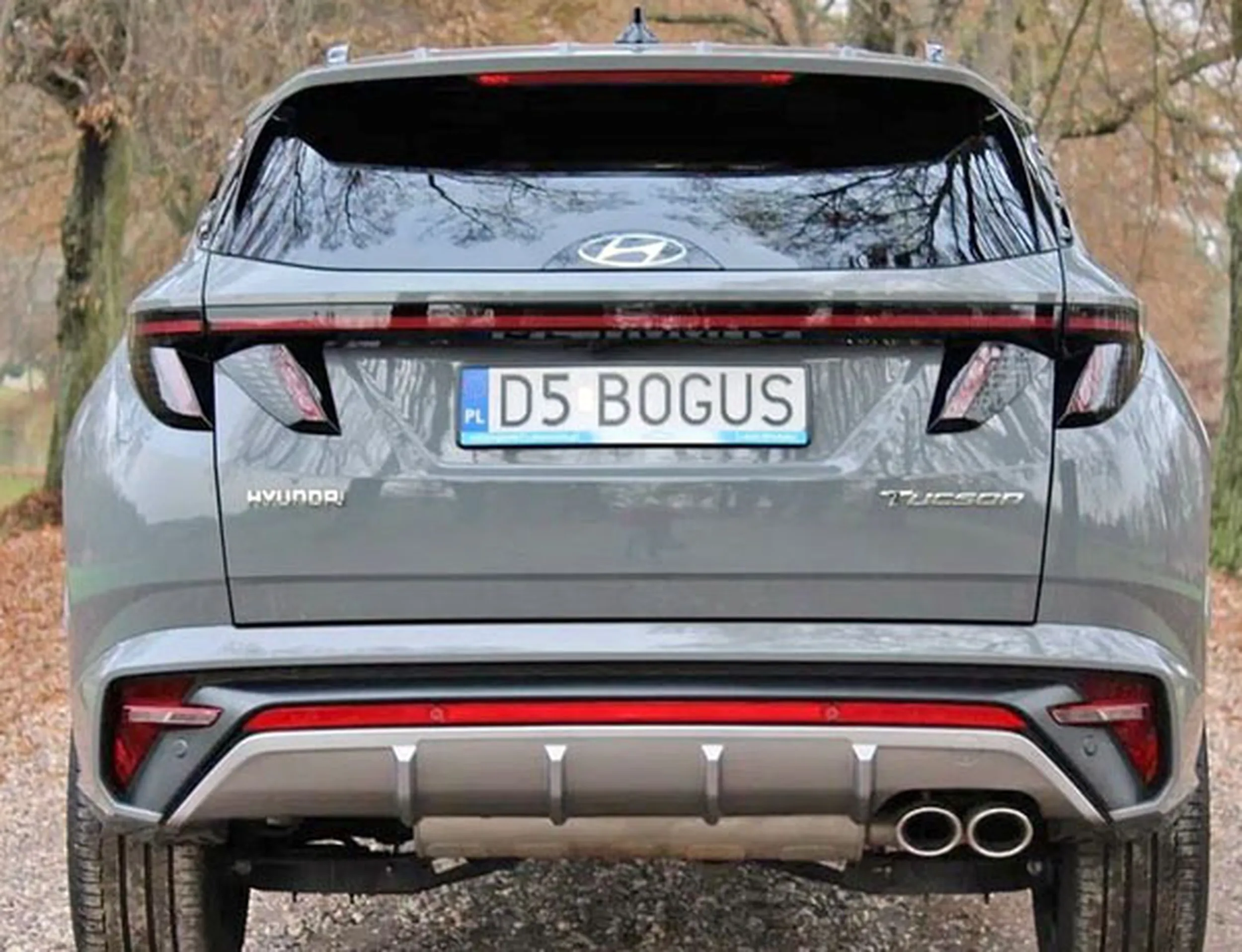 Fajny numer, blacha D5 BOGUS