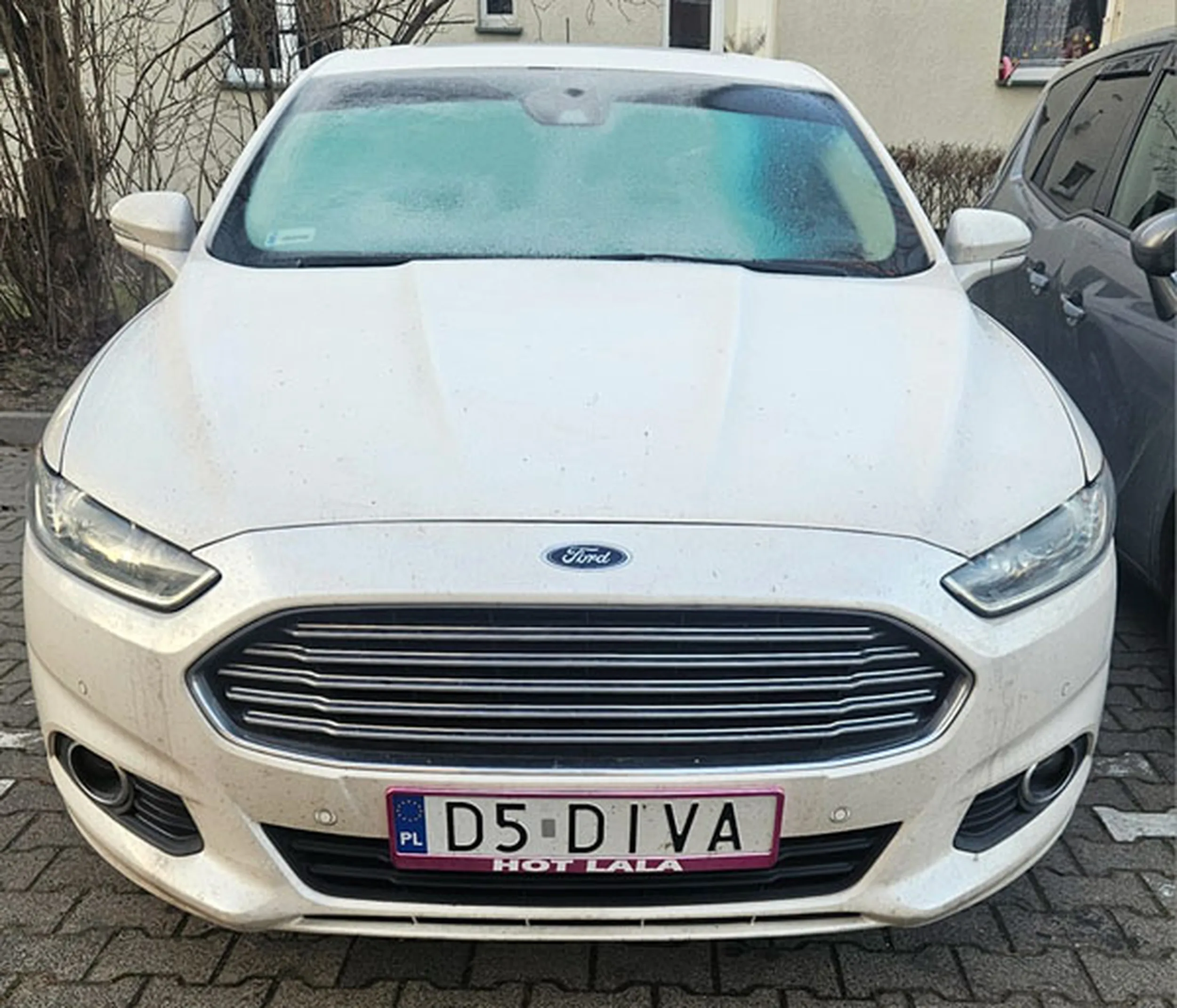 Fajny numer, blacha D5 DIVA