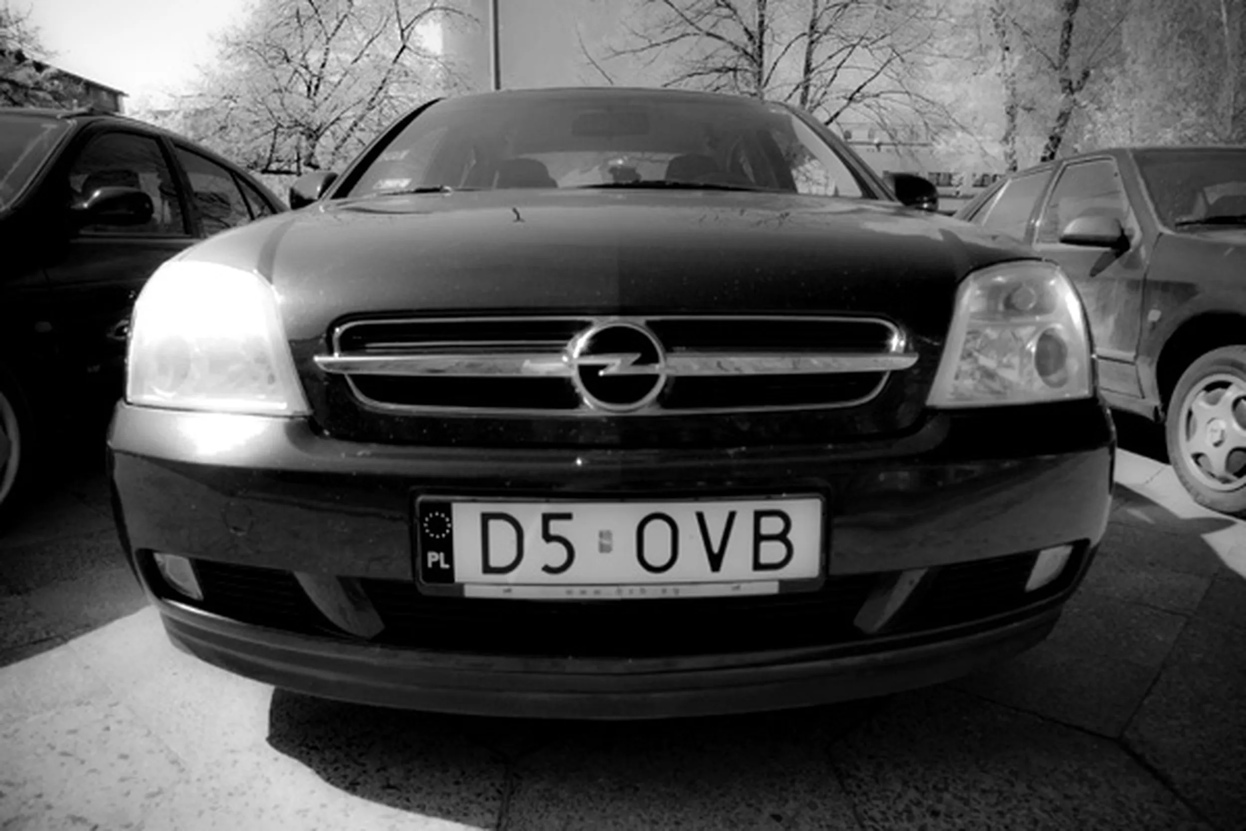 Fajny numer, blacha D5 OVB