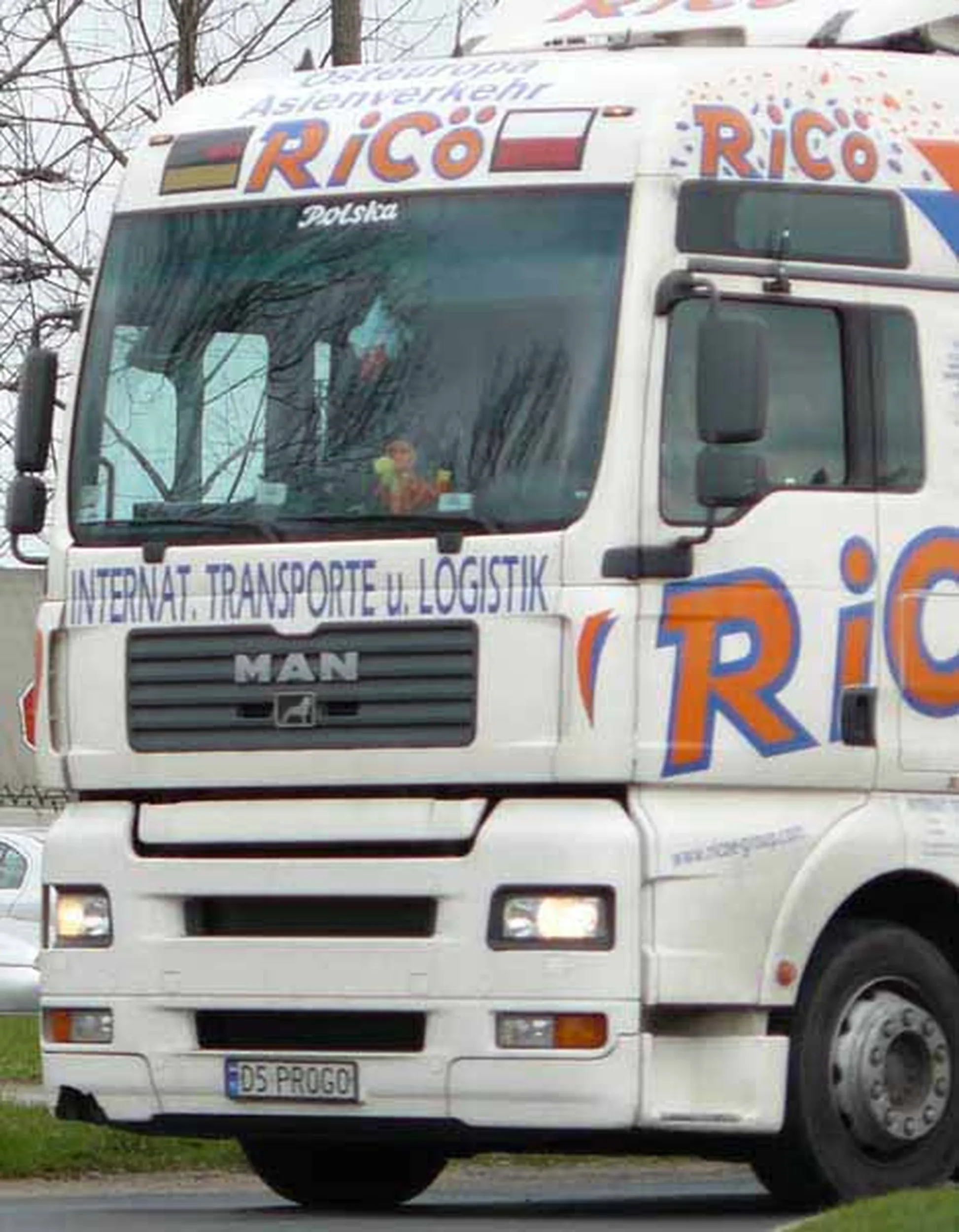 Fajny numer, blacha D5 PROG0