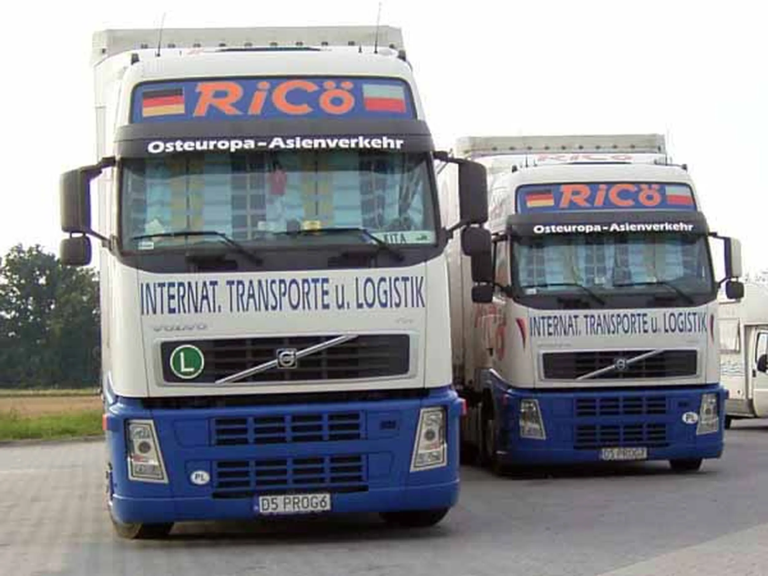 Fajny numer, blacha D5 PROG7