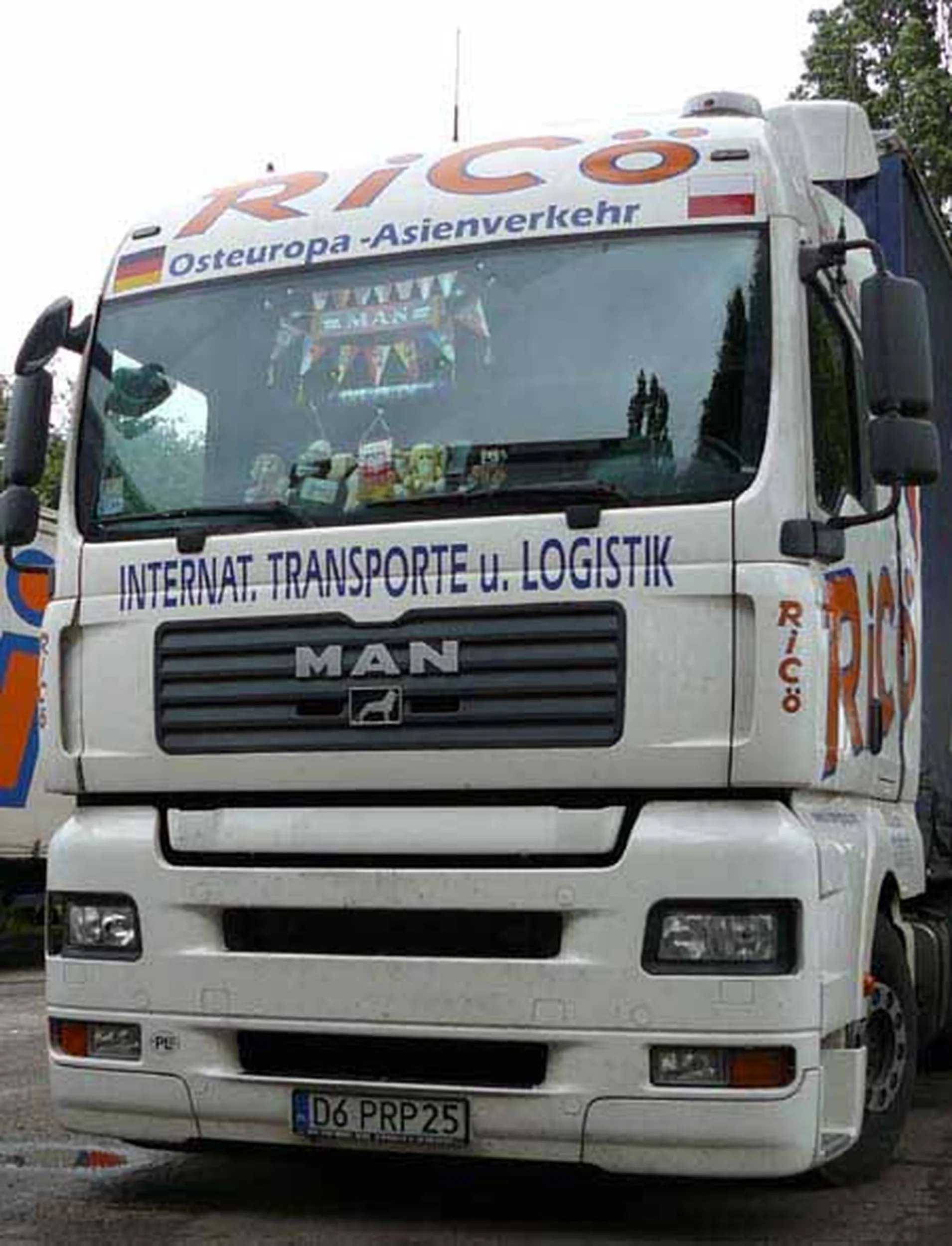 Fajny numer, blacha D6 PRP25