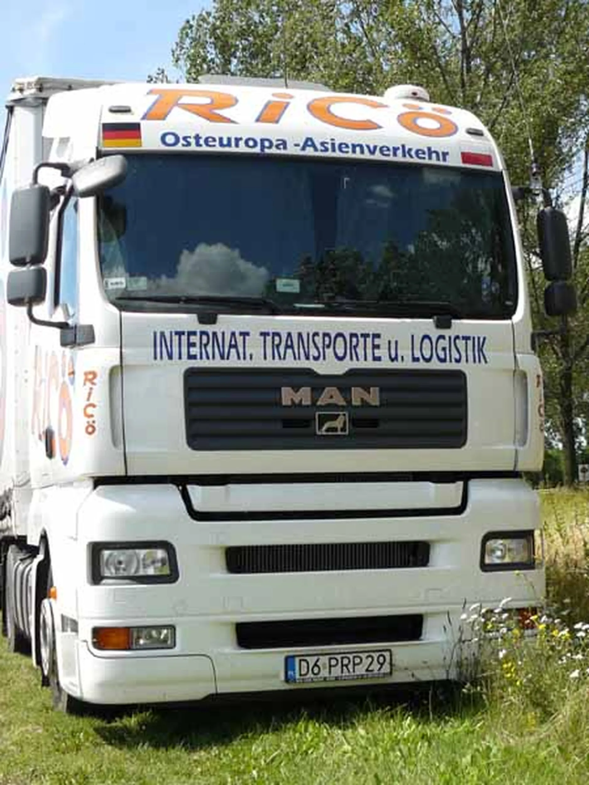 Fajny numer, blacha D6 PRP29