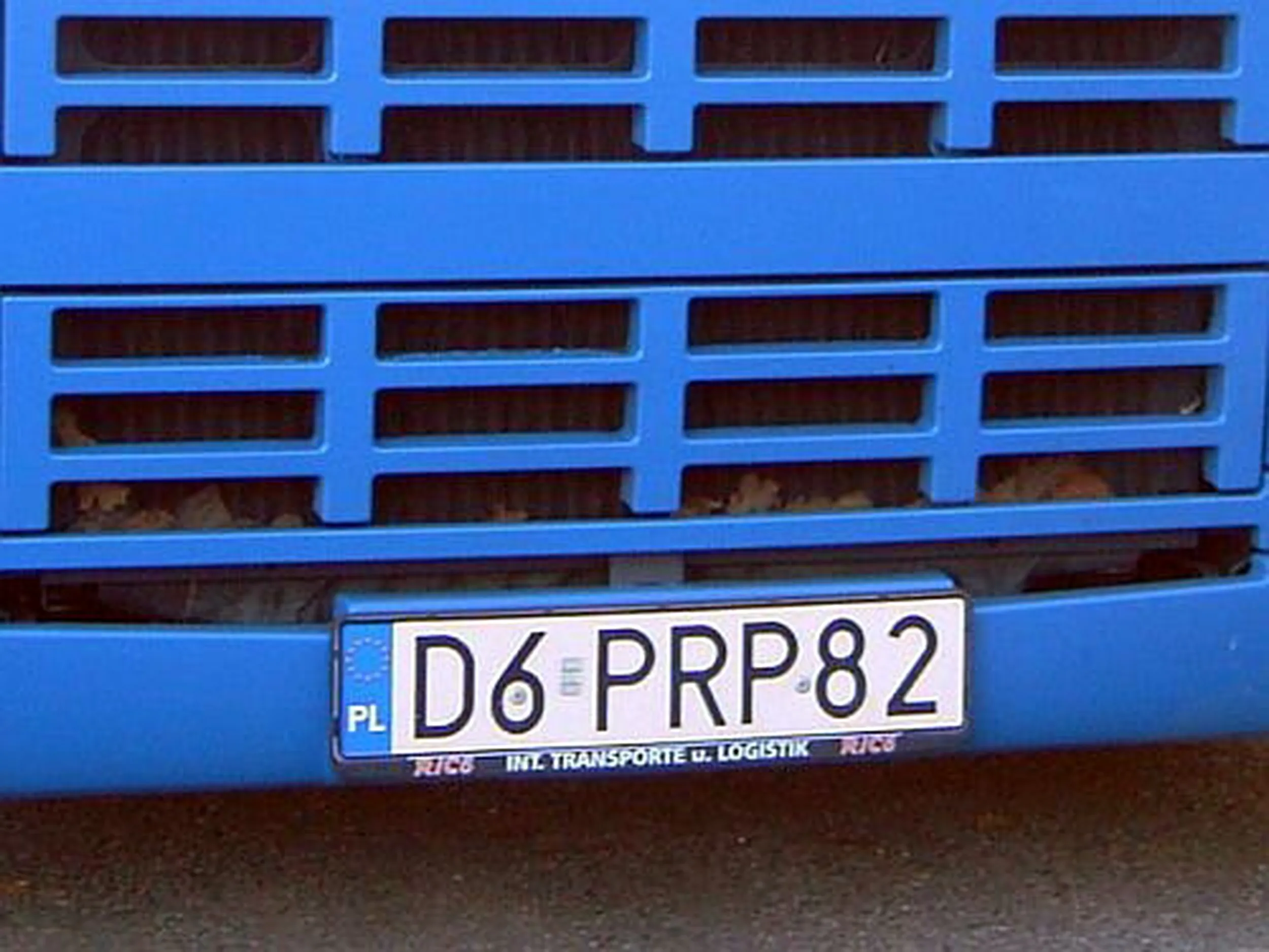 Fajny numer, blacha D6 PRP82