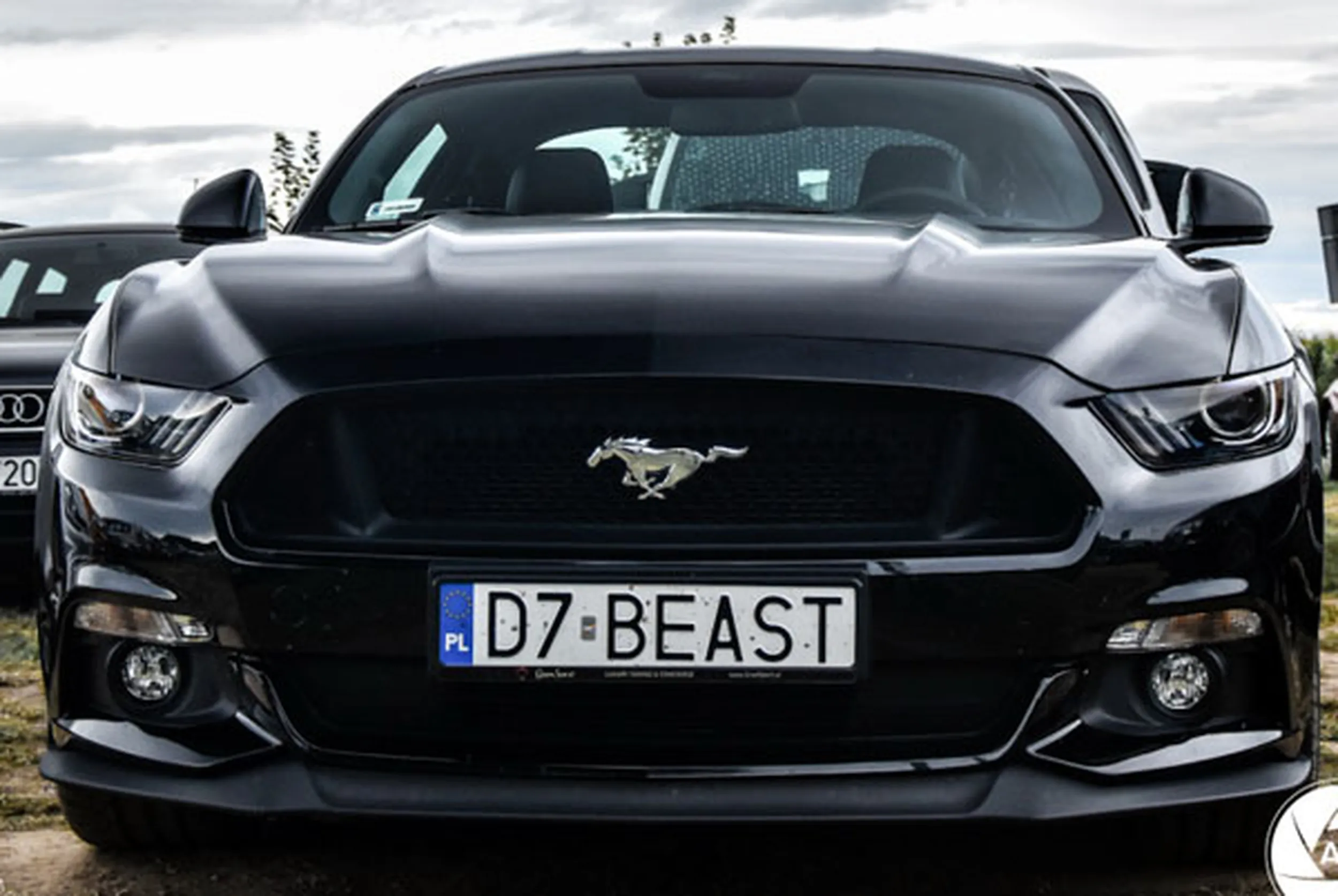 Fajny numer, blacha D7 BEAST