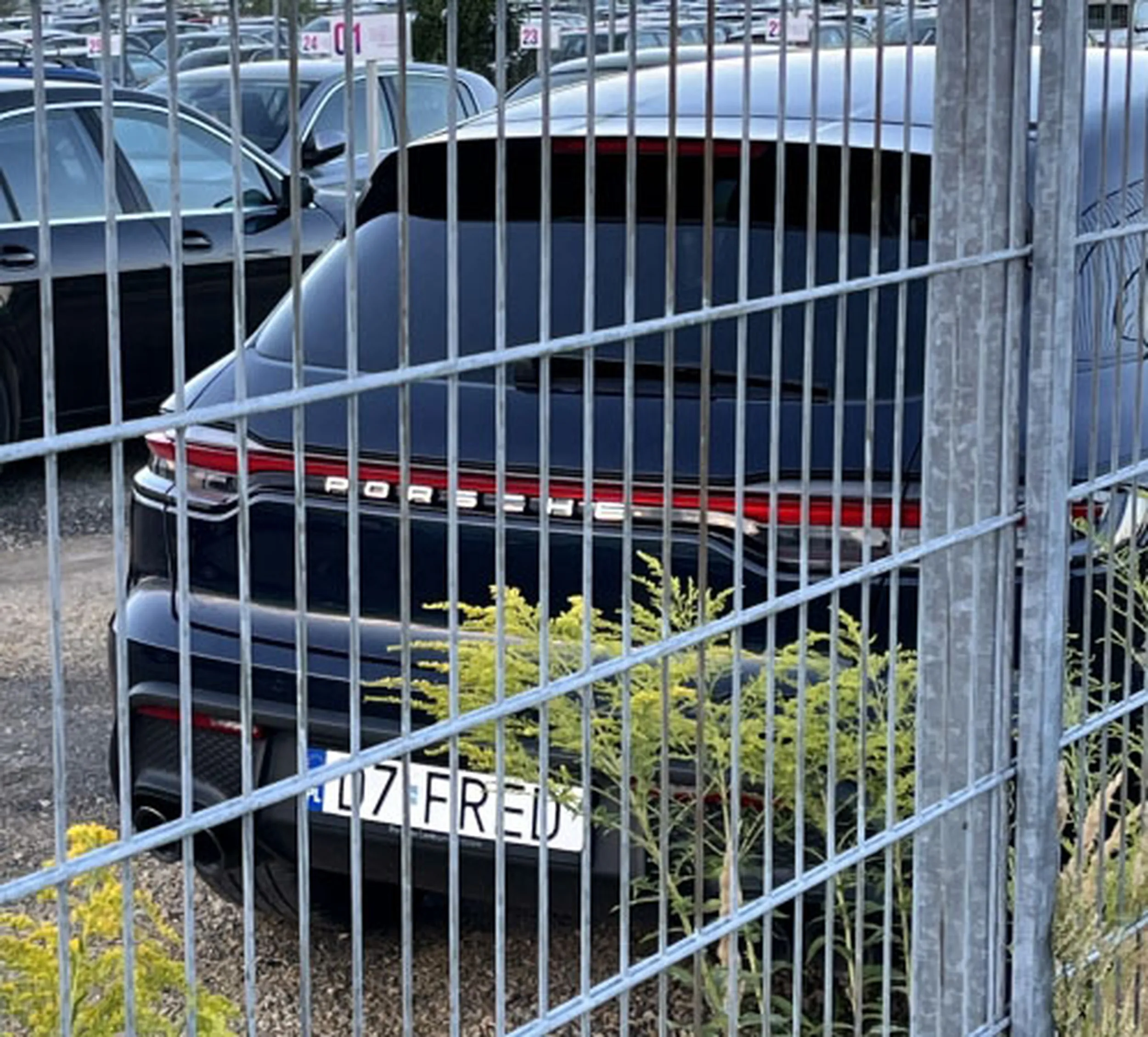 Fajny numer, blacha D7 FRED