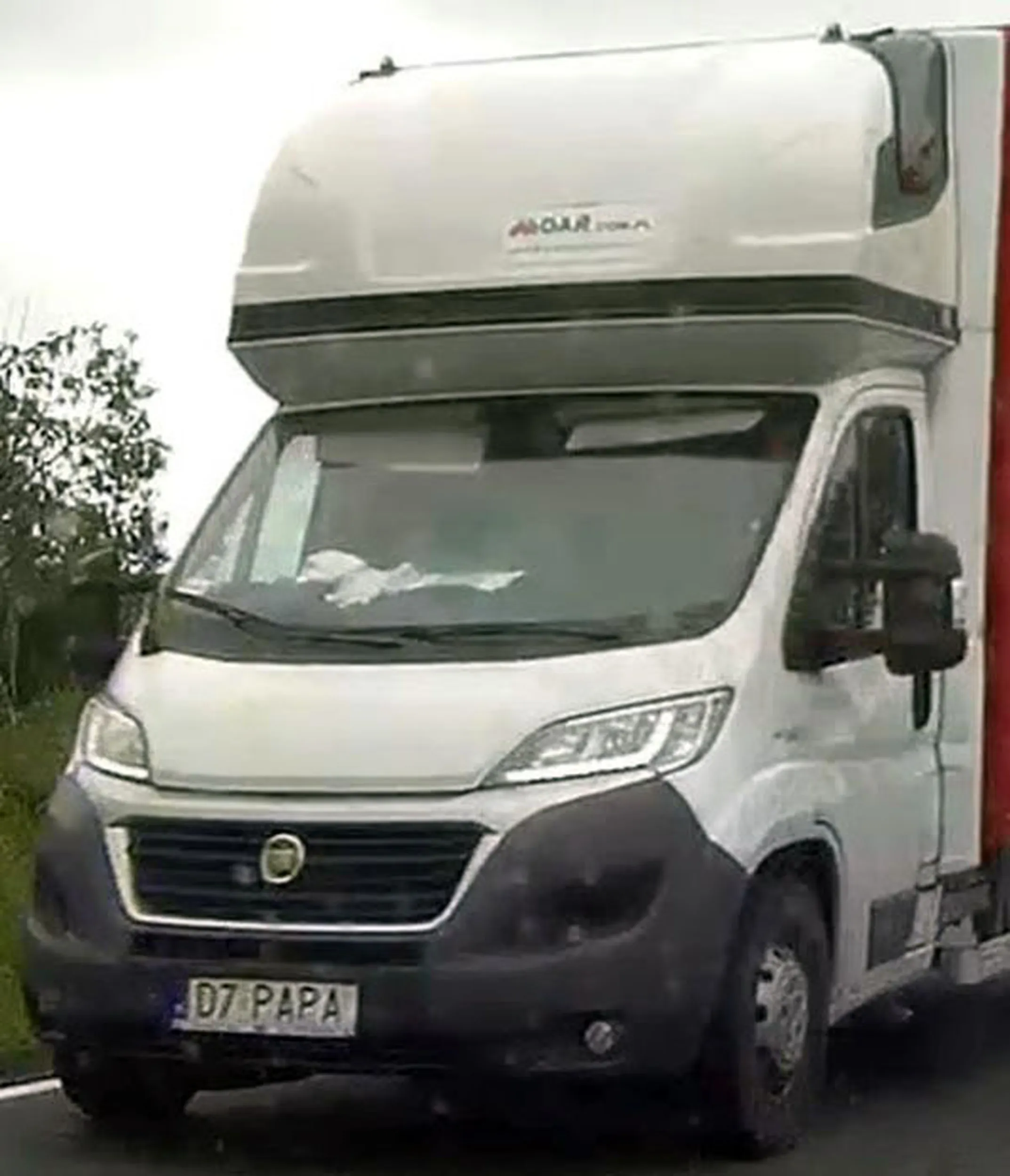 Fajny numer, blacha D7 PAPA