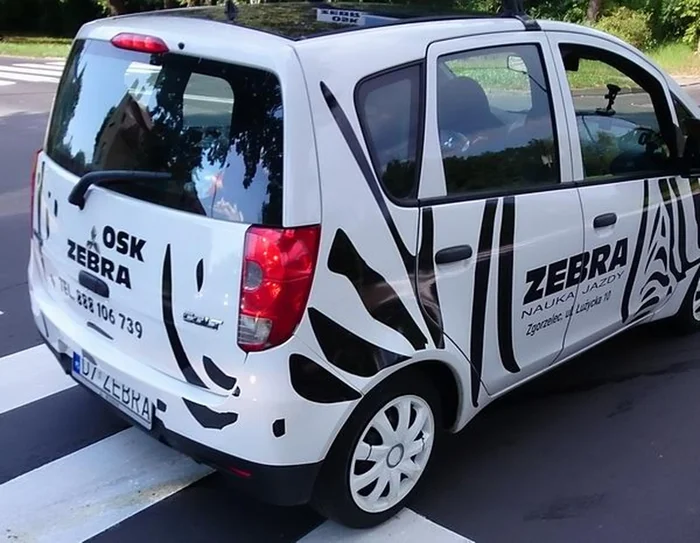 Fajny numer, blacha D7 ZEBRA