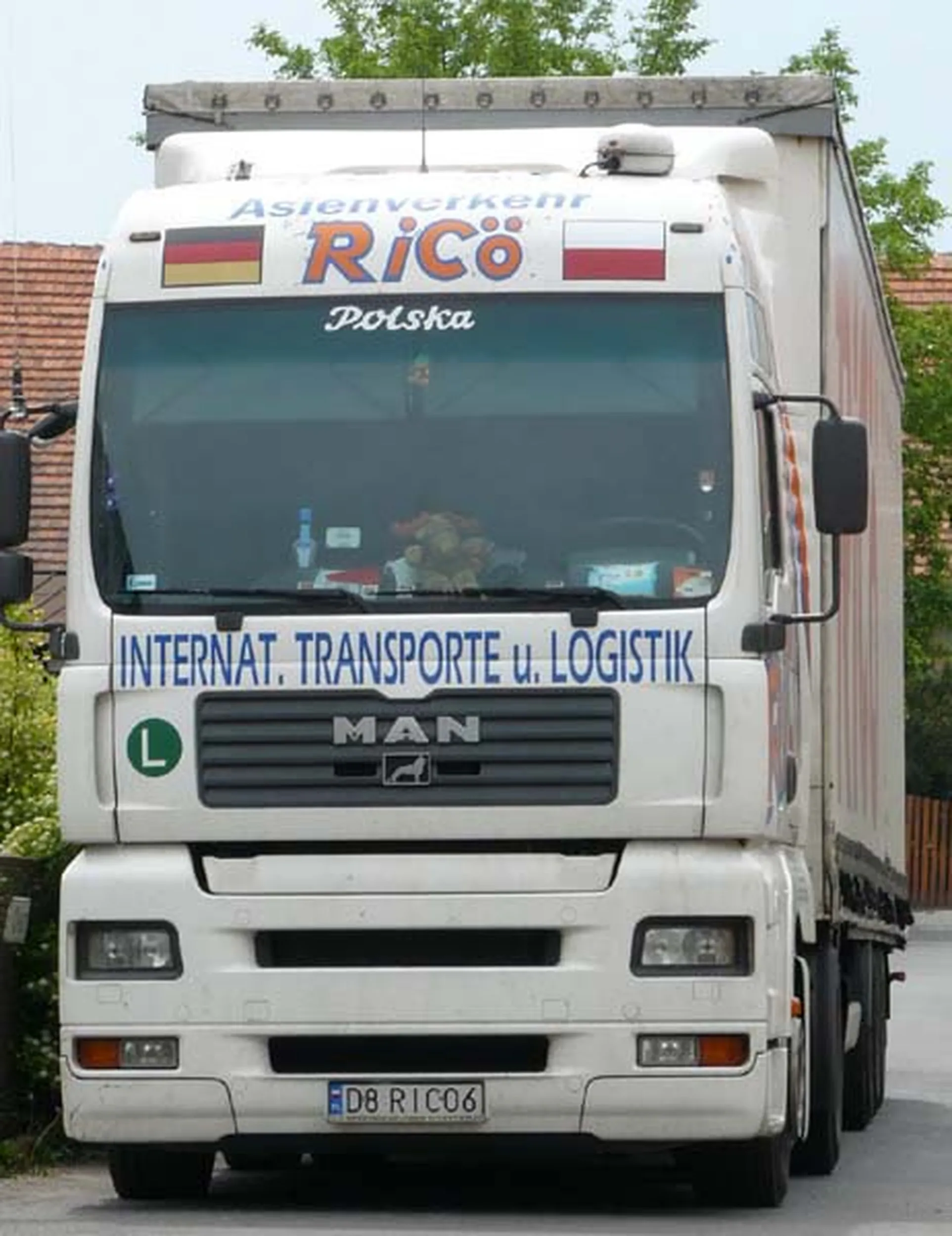 Fajny numer, blacha D8 RICO6