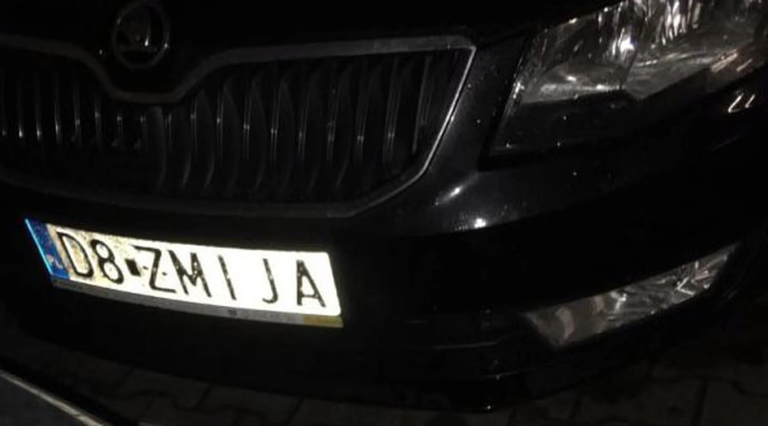 Fajny numer, blacha D8 ZMIJA