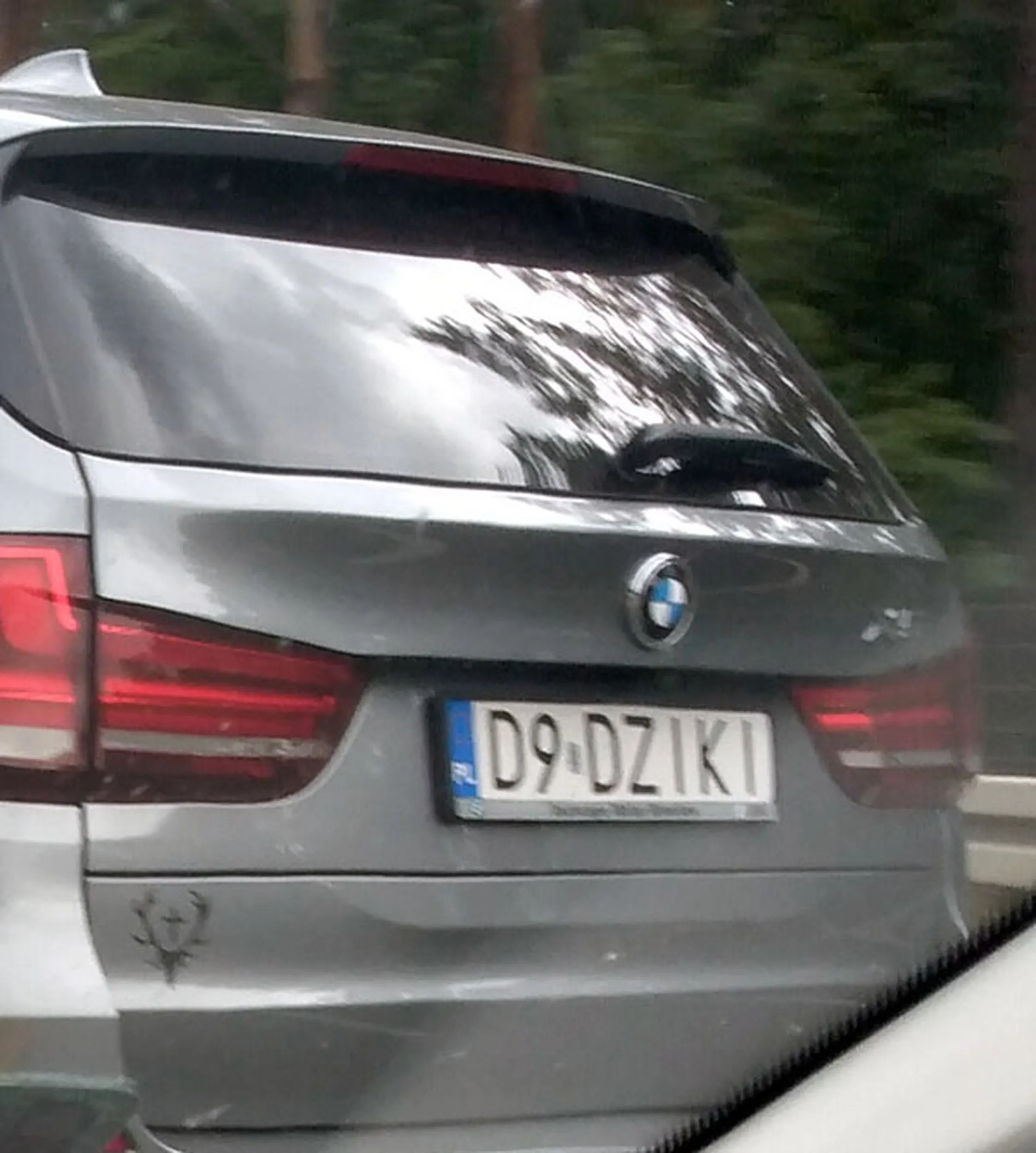 Fajny numer, blacha D9 DZIKI