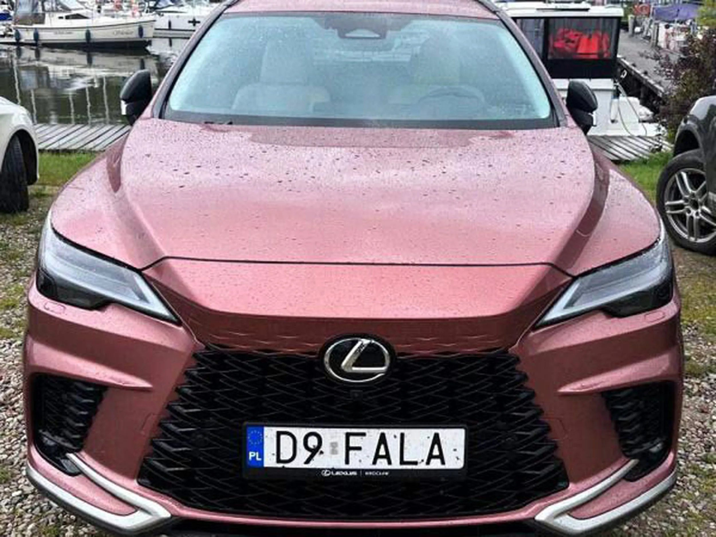 Fajny numer, blacha D9 FALA